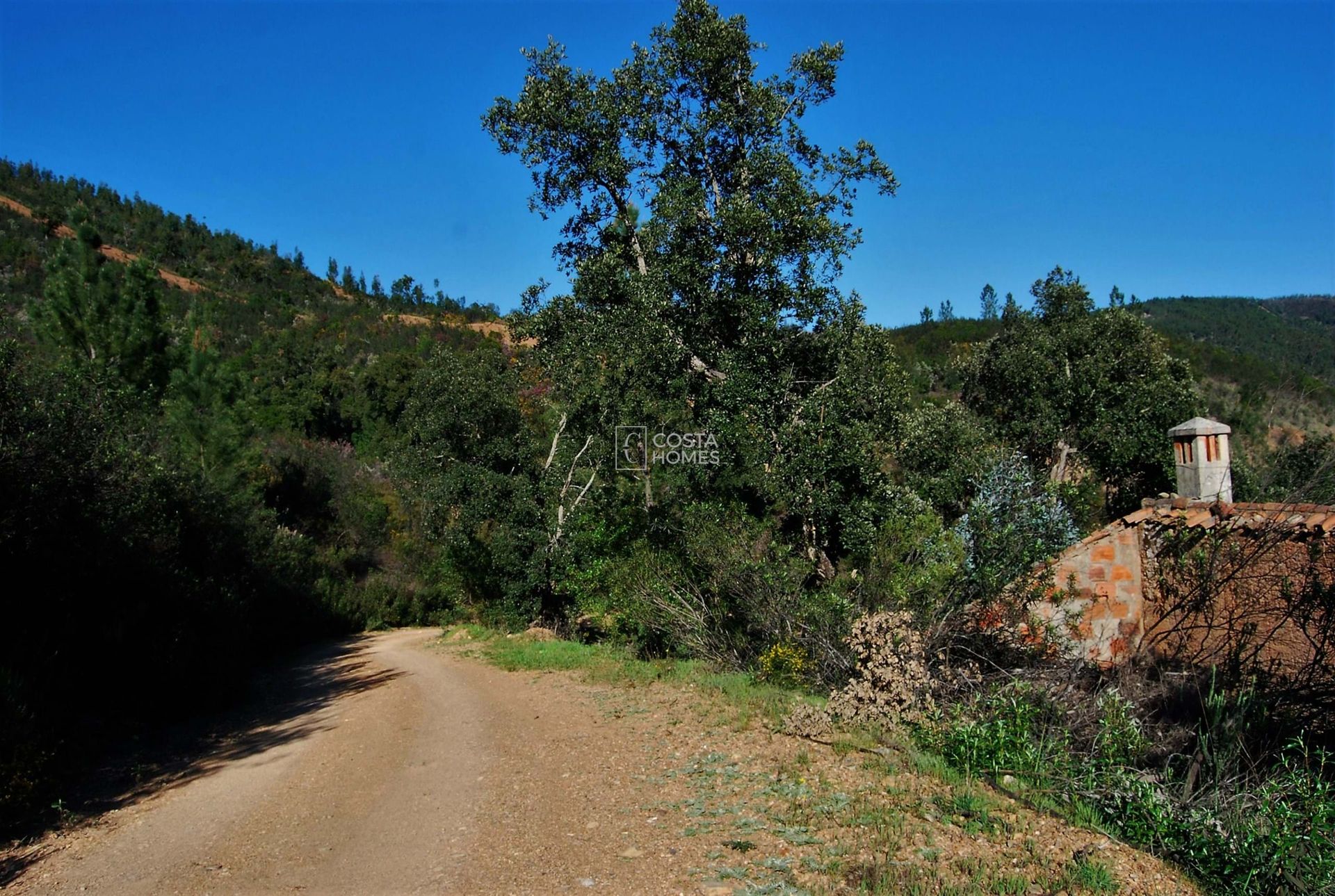 Land in Selão Branco, Faro 10750157