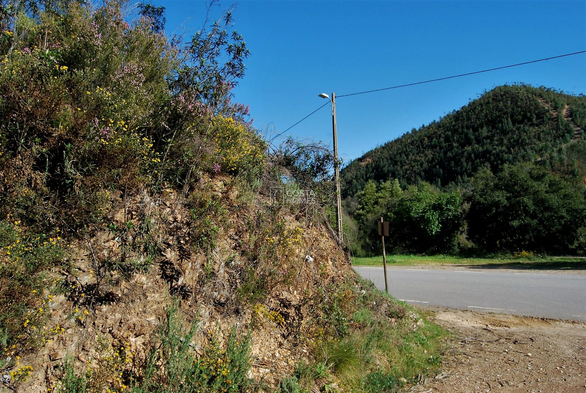 Land in Selão Branco, Faro 10750157