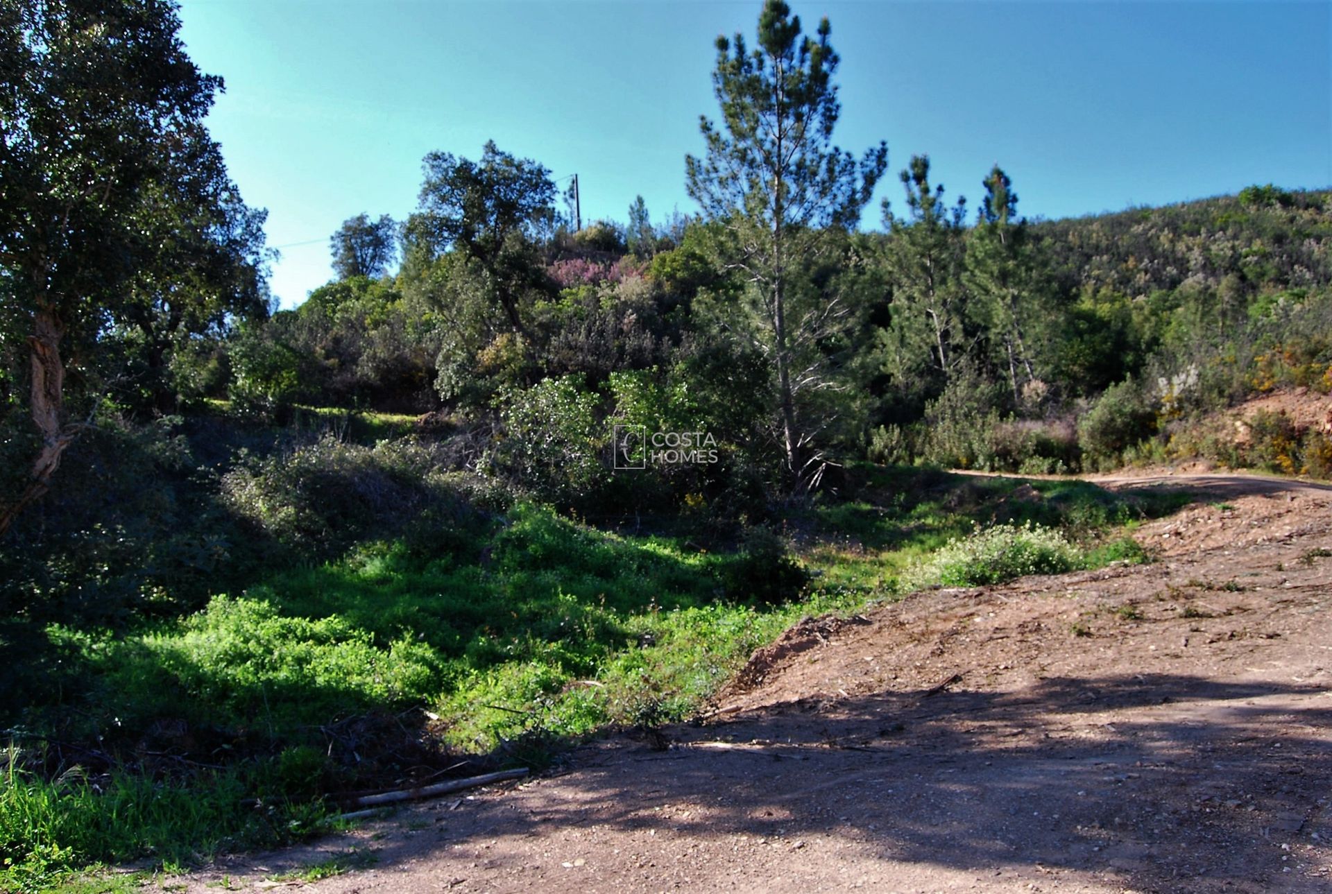 Land in Selão Branco, Faro 10750157