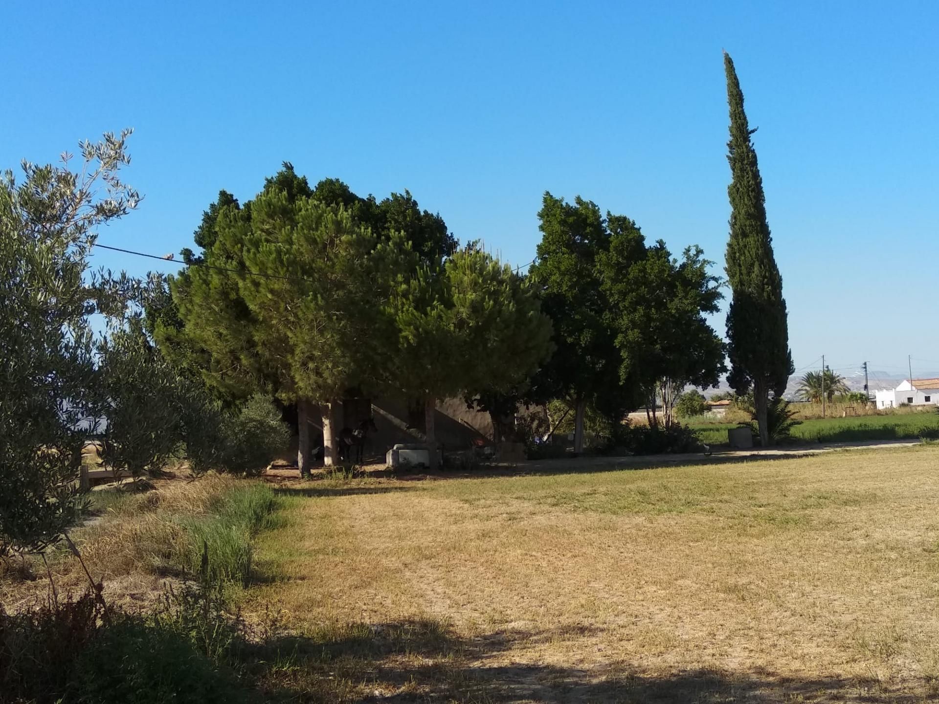 Jord i Callosa de Segura, Comunidad Valenciana 10750170