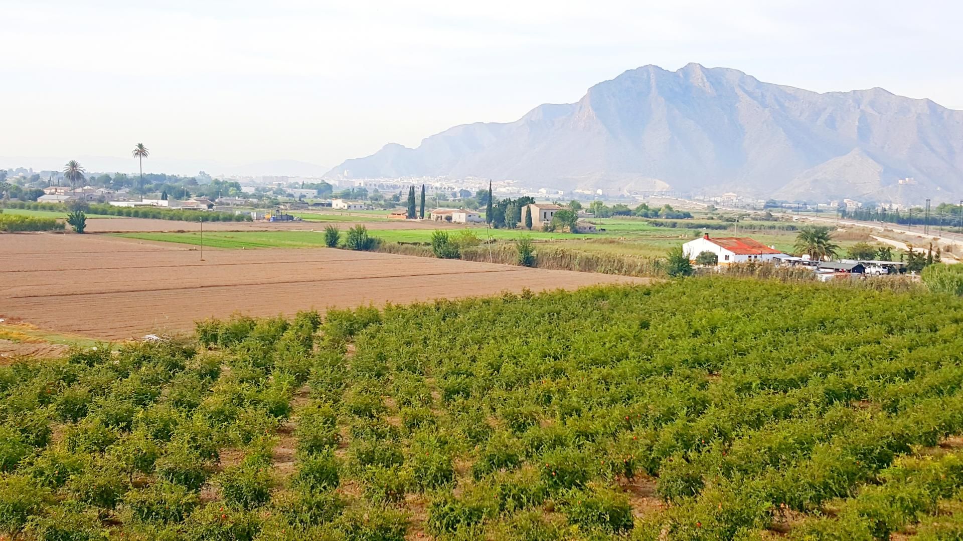 भूमि में Callosa de Segura, Comunidad Valenciana 10750170