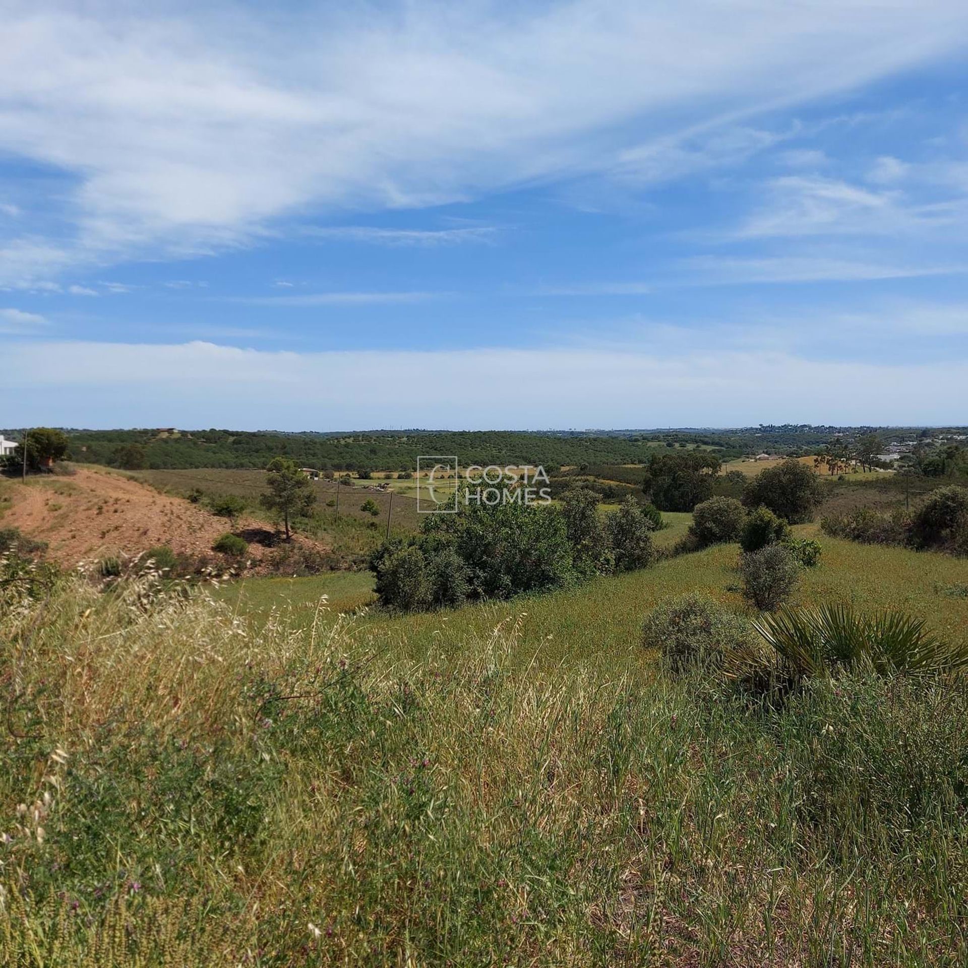 Land in , Faro District 10750206