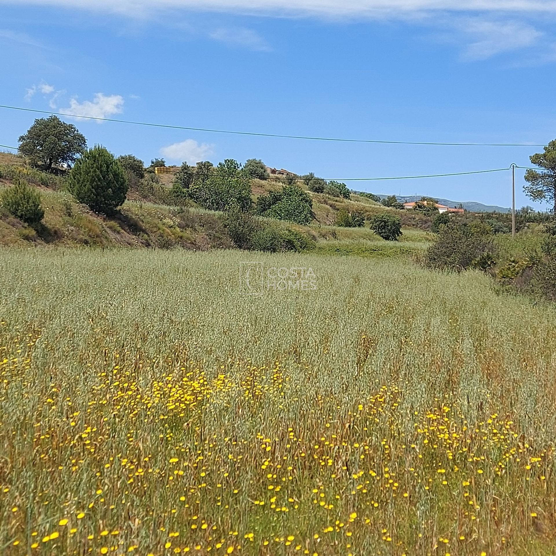 Land in Senhora do Verde, Faro 10750206