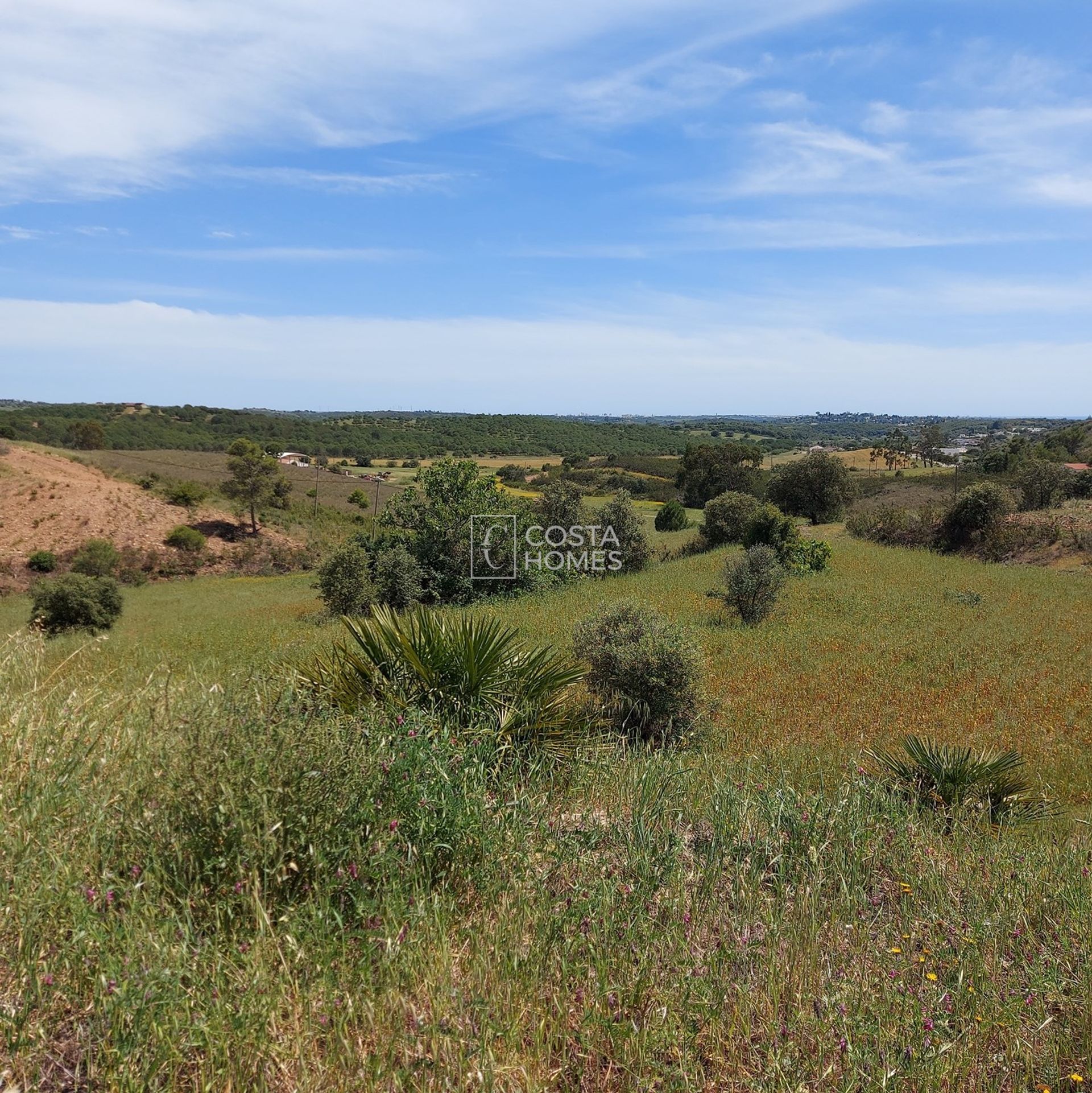 Land in , Faro District 10750206