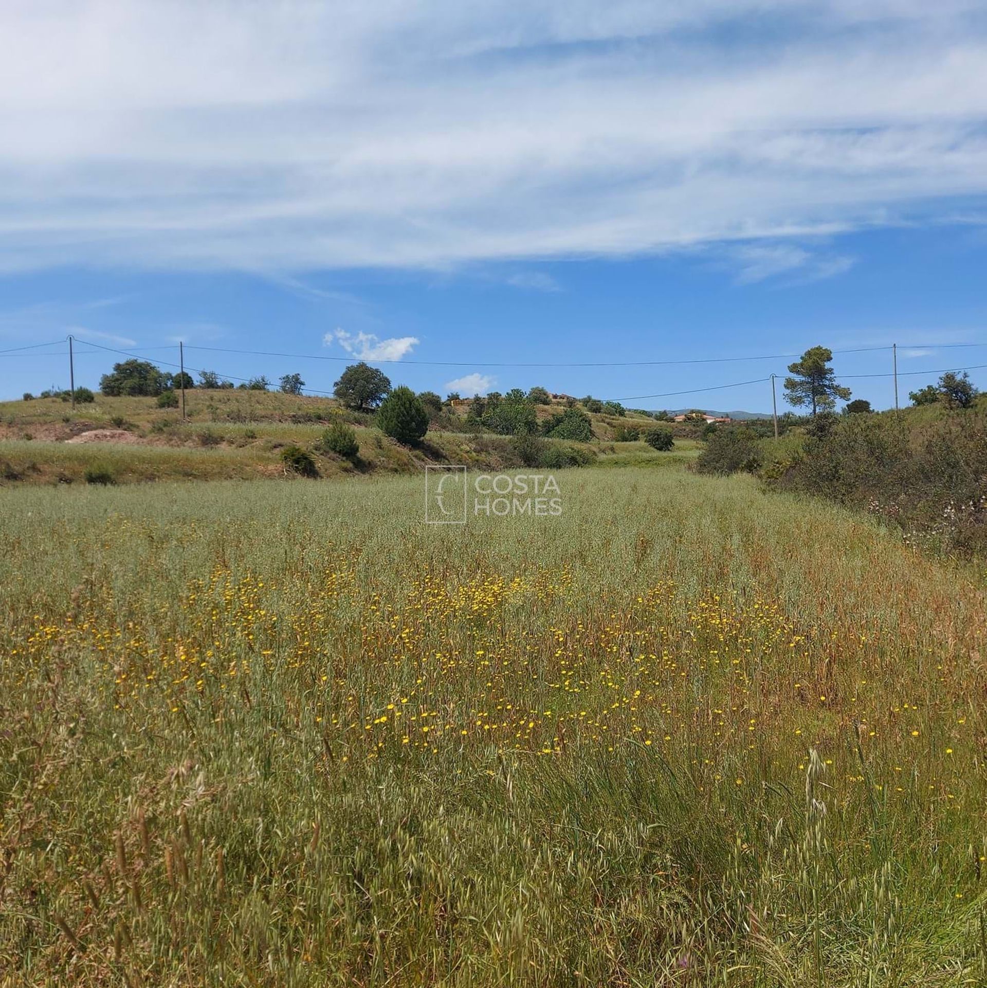 Land in , Faro District 10750206