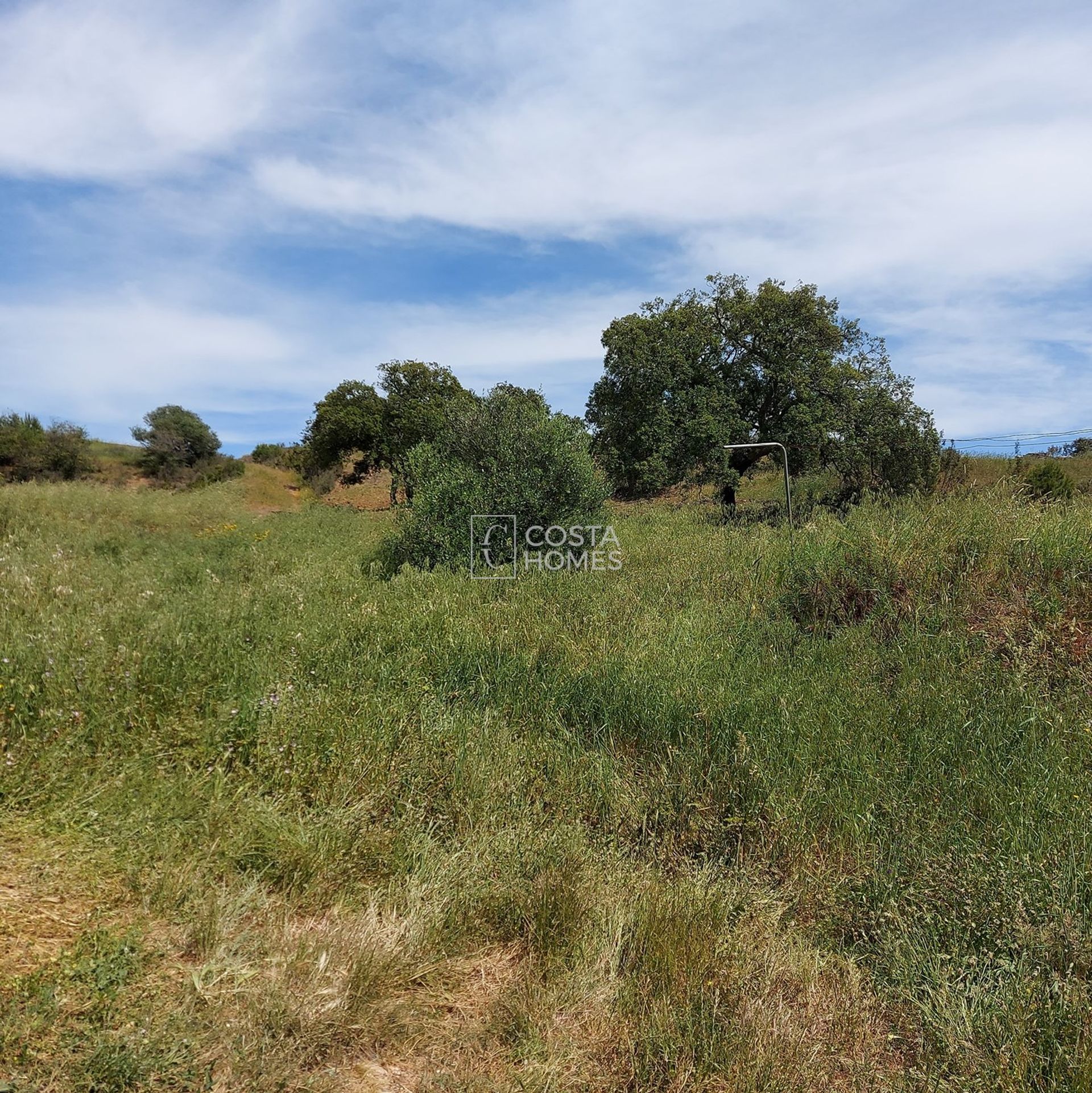 Land in , Faro District 10750206