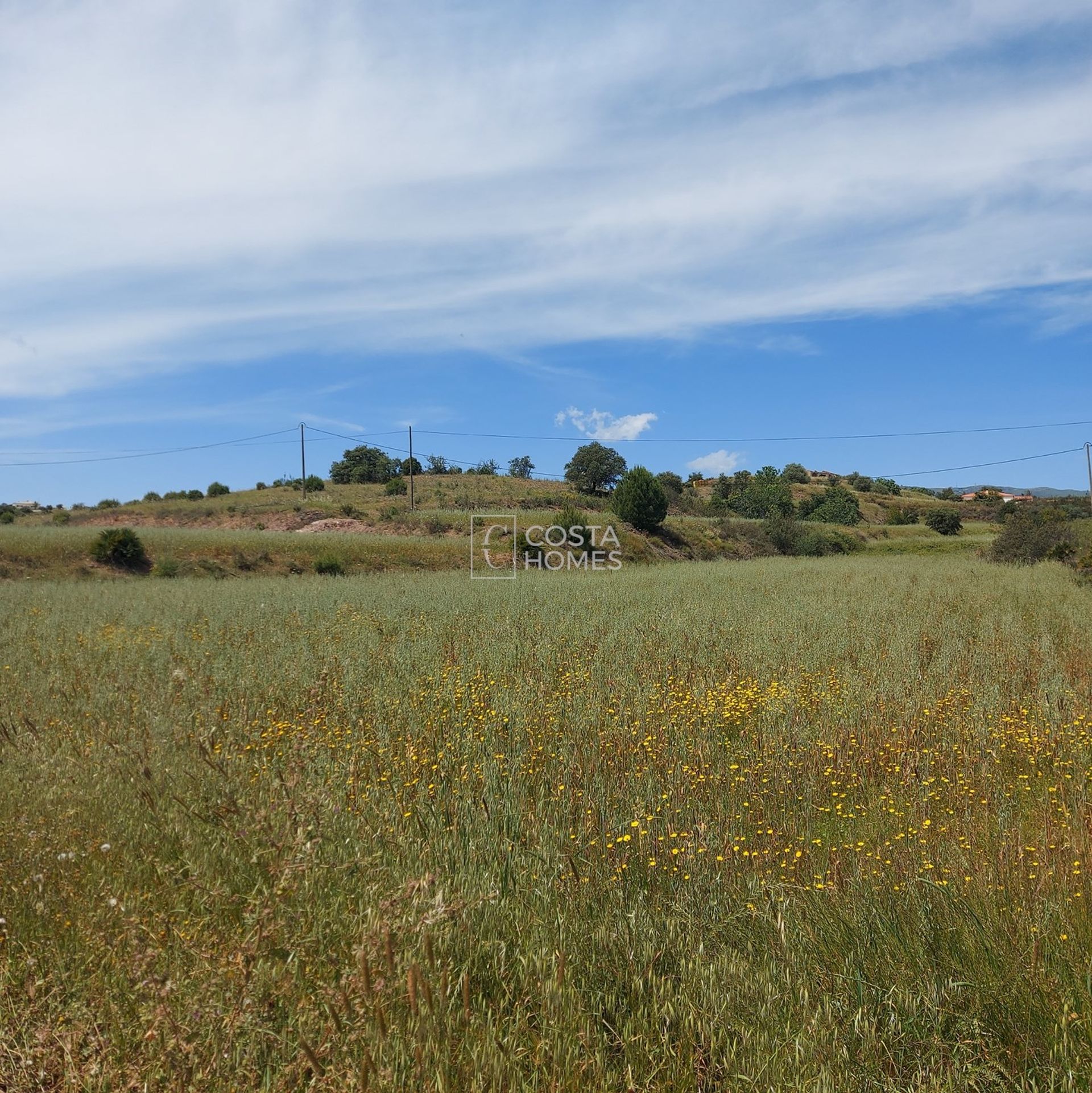 Land in Senhora do Verde, Faro 10750206