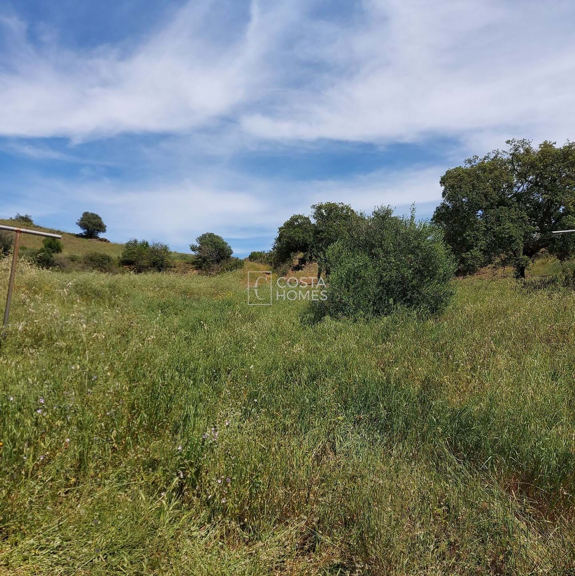 Land in , Faro District 10750206