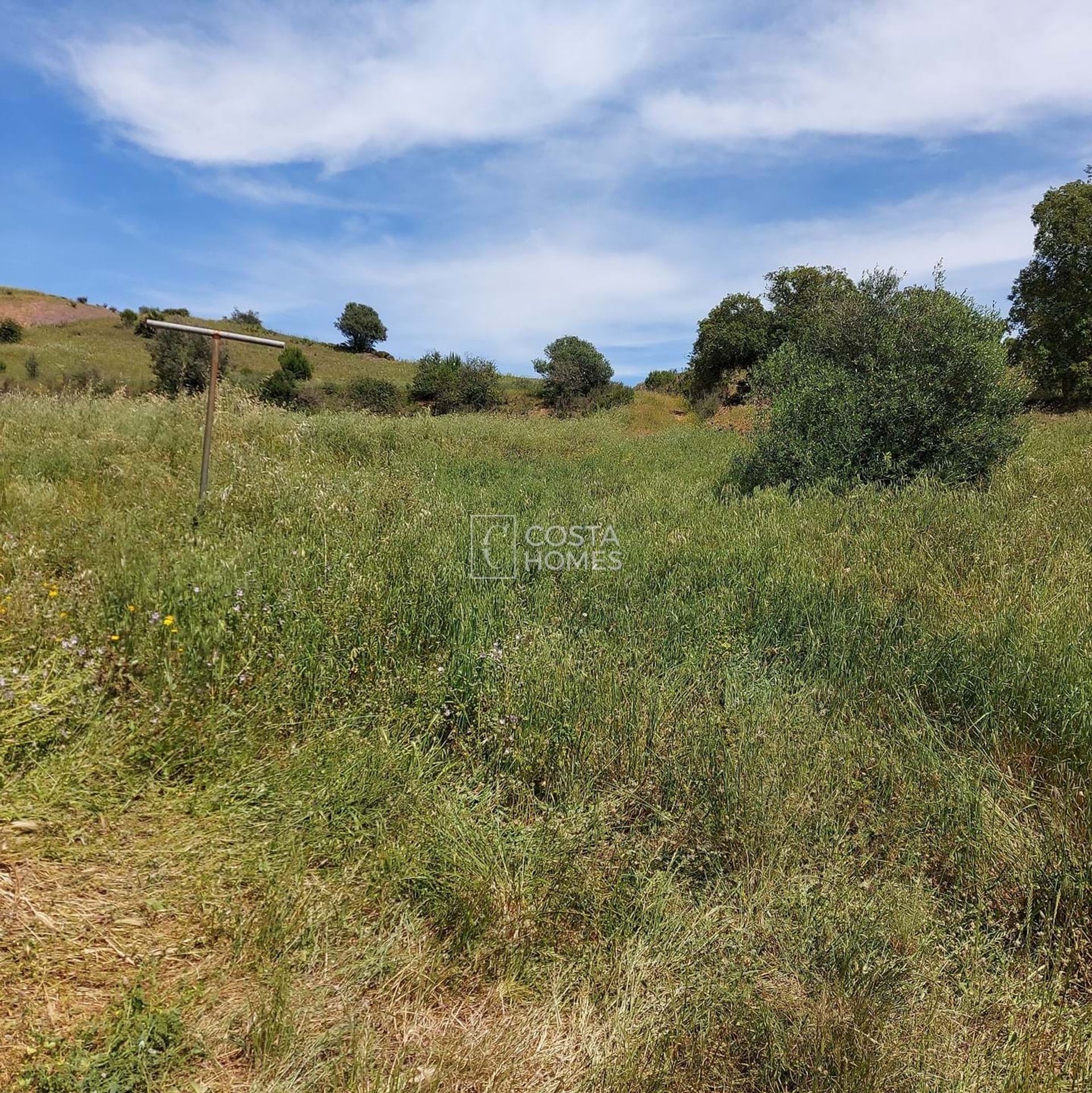 Land in , Faro District 10750206