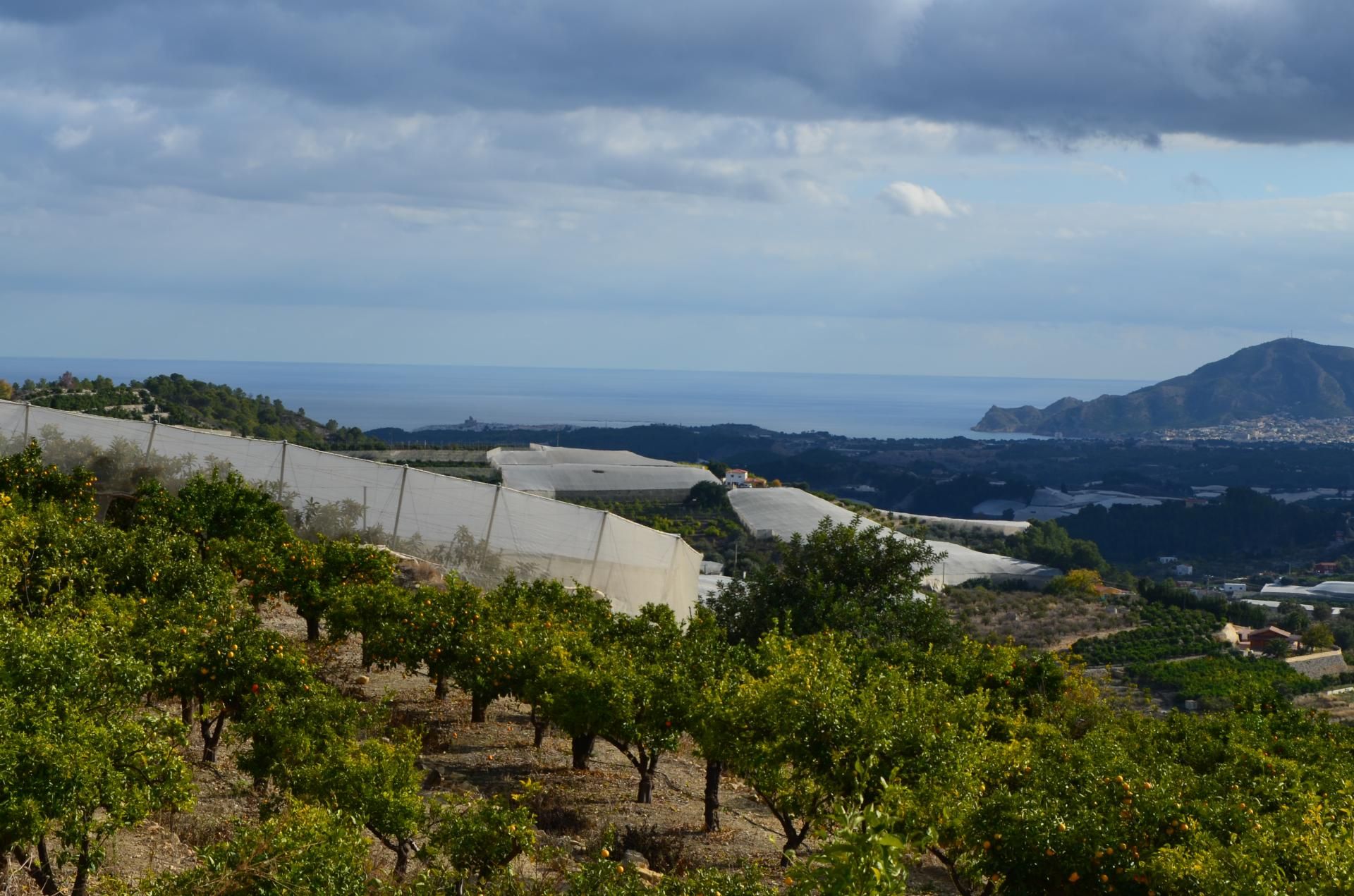 Land in Callosa d'en Sarrià, Valencian Community 10750295