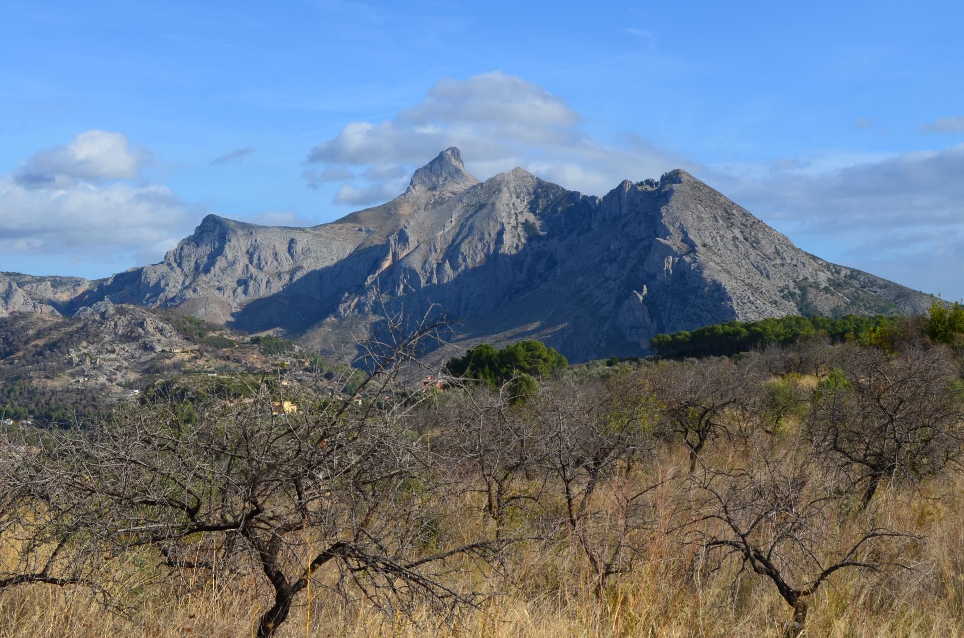 Land in Callosa d'en Sarrià, Valencian Community 10750295