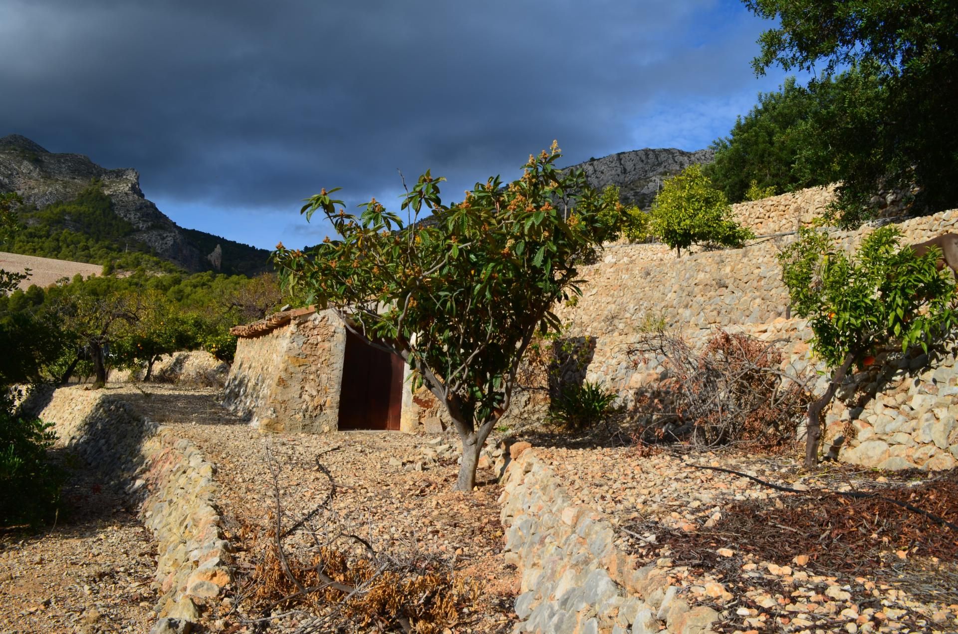 Land in Callosa d'en Sarrià, Valencian Community 10750295