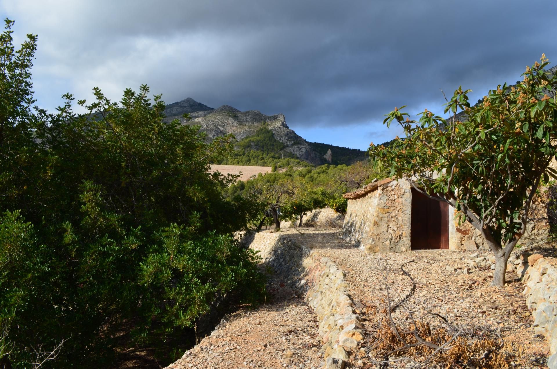 Land in Callosa d'en Sarrià, Valencian Community 10750295