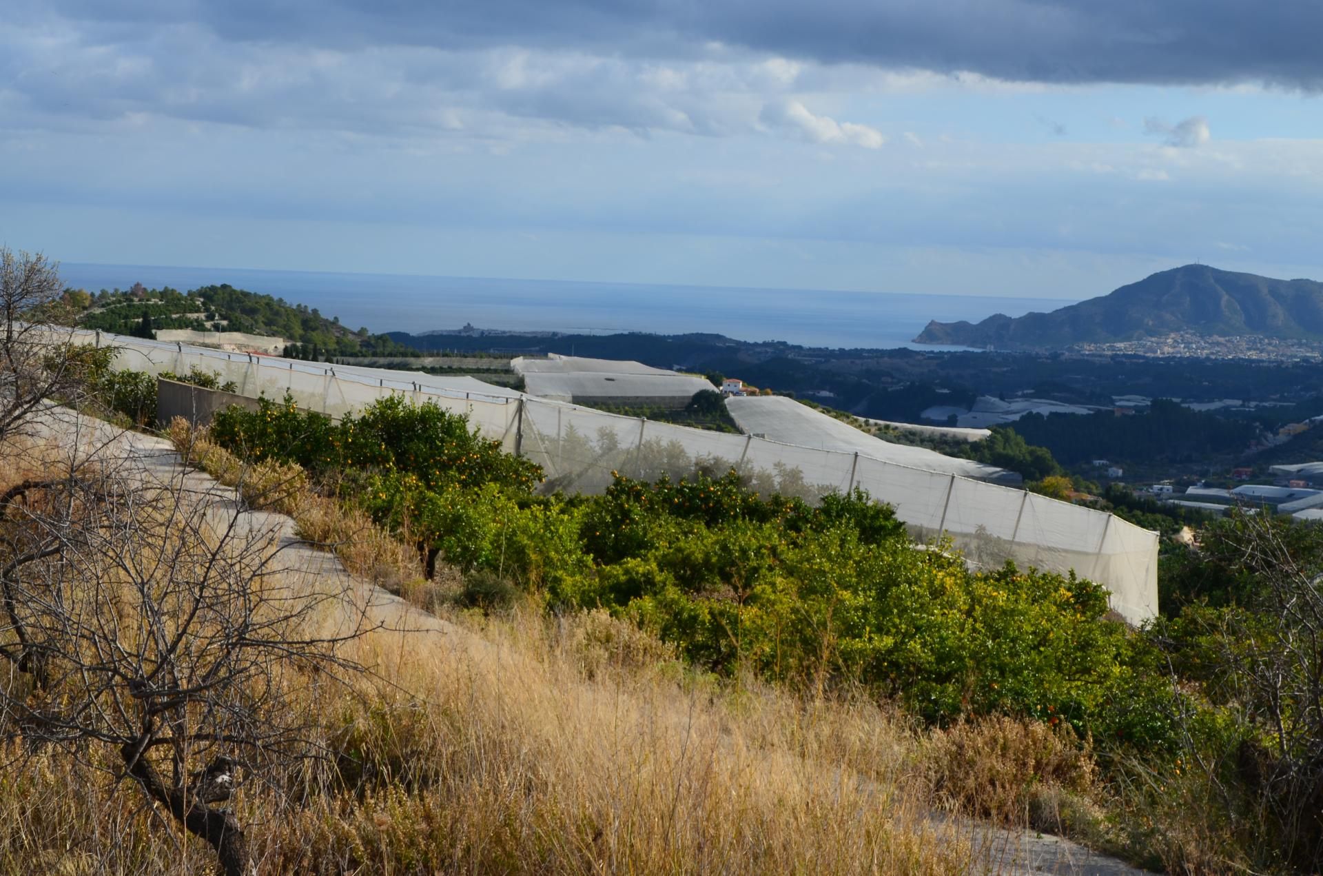 Land in Callosa d'en Sarrià, Valencian Community 10750295