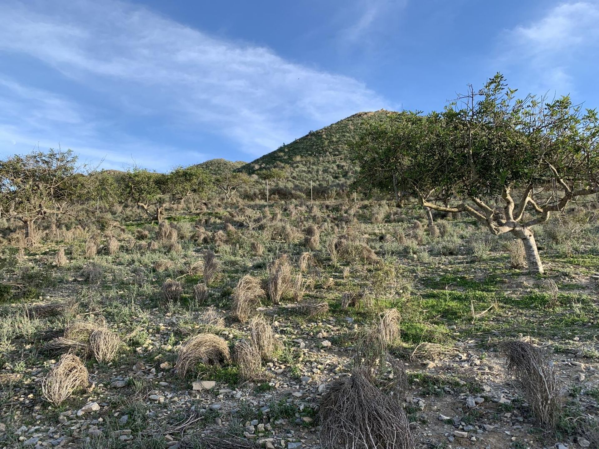 Tierra en , Región de Murcia 10750510