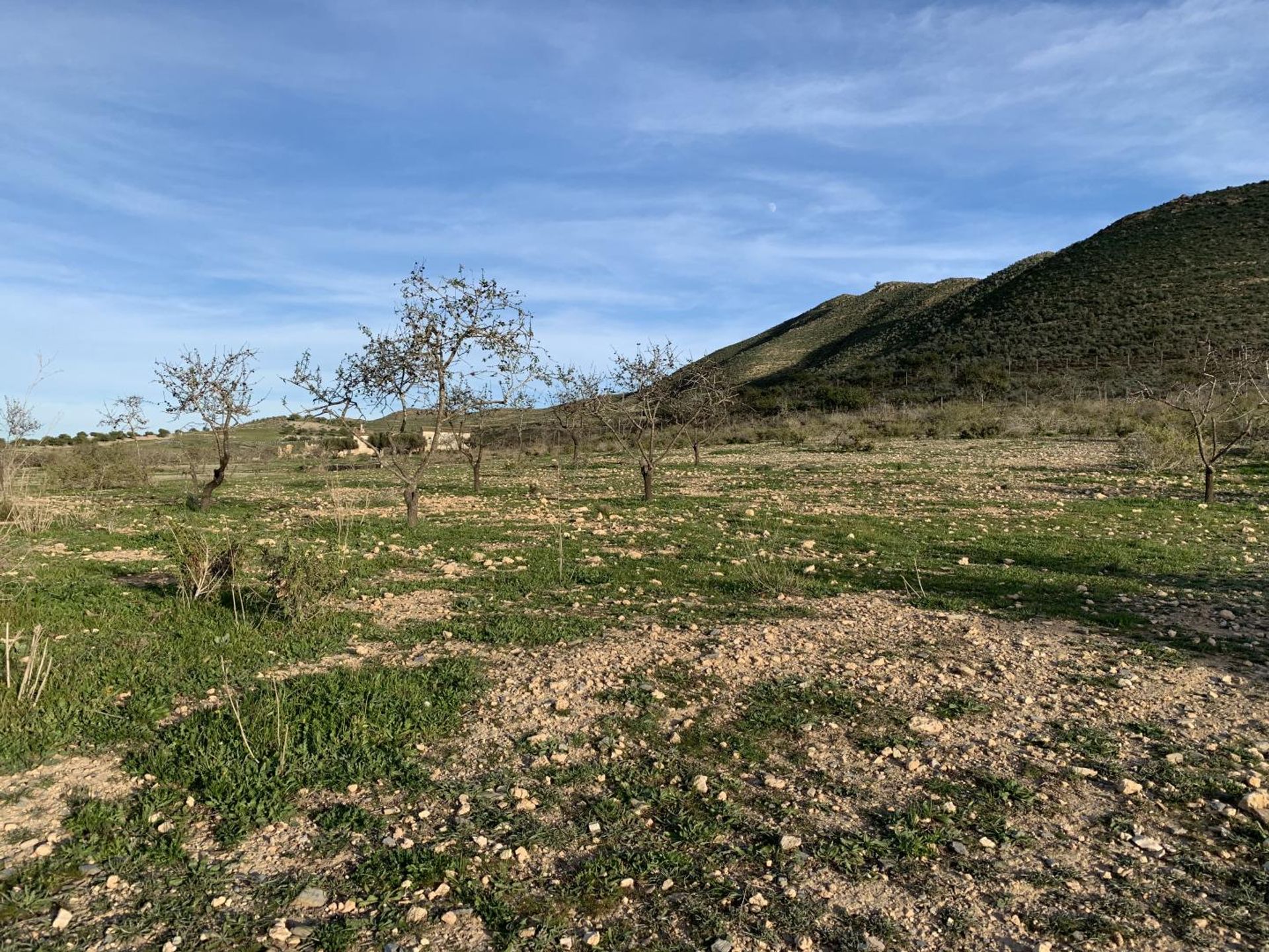 Tierra en , Región de Murcia 10750510