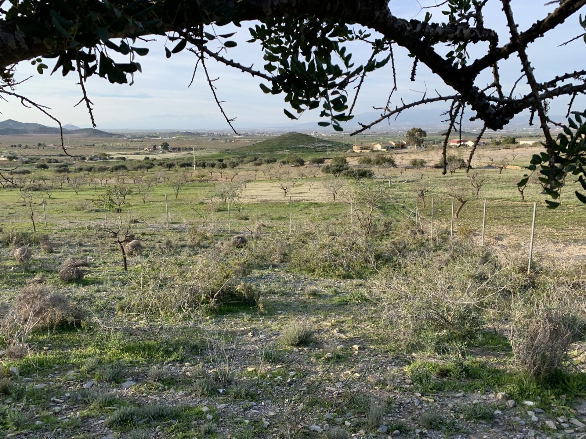 Tierra en , Región de Murcia 10750510