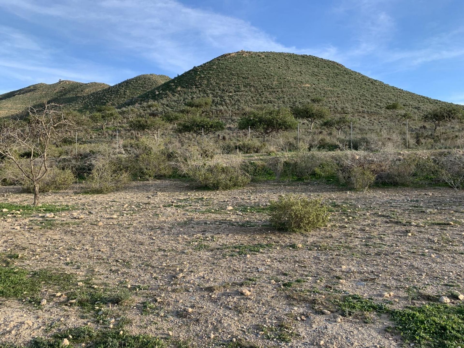 Tierra en , Región de Murcia 10750510