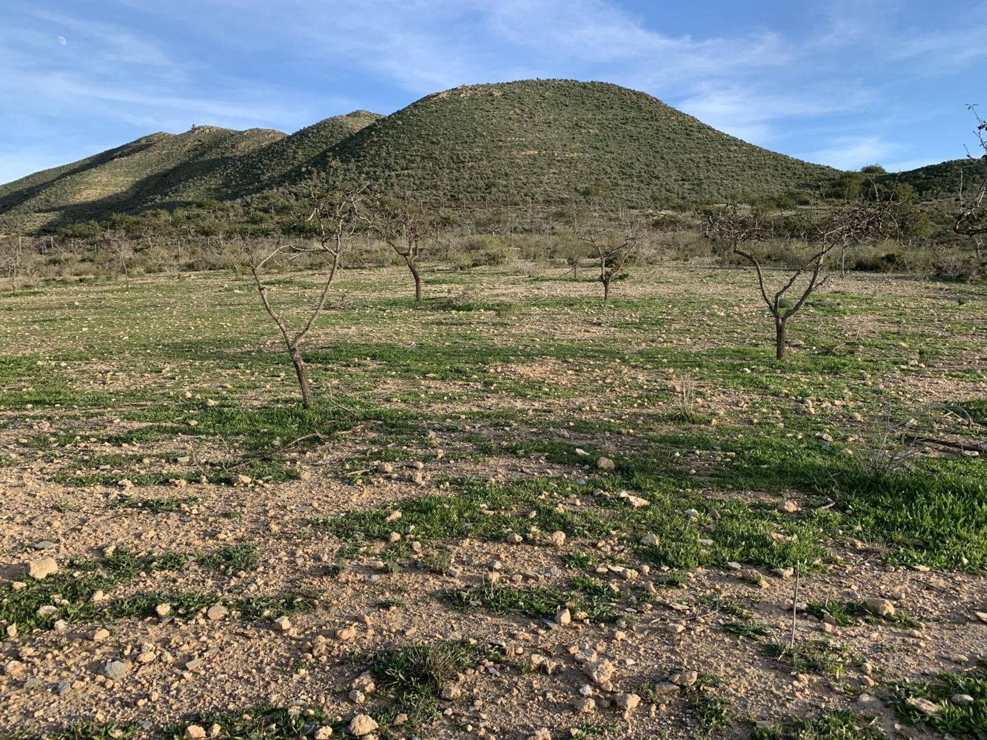 Tierra en , Región de Murcia 10750510