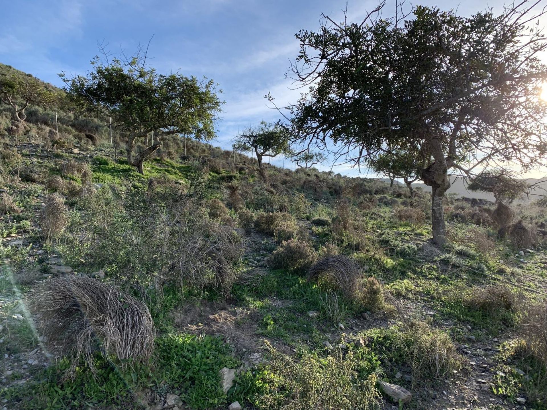 Tierra en , Región de Murcia 10750510