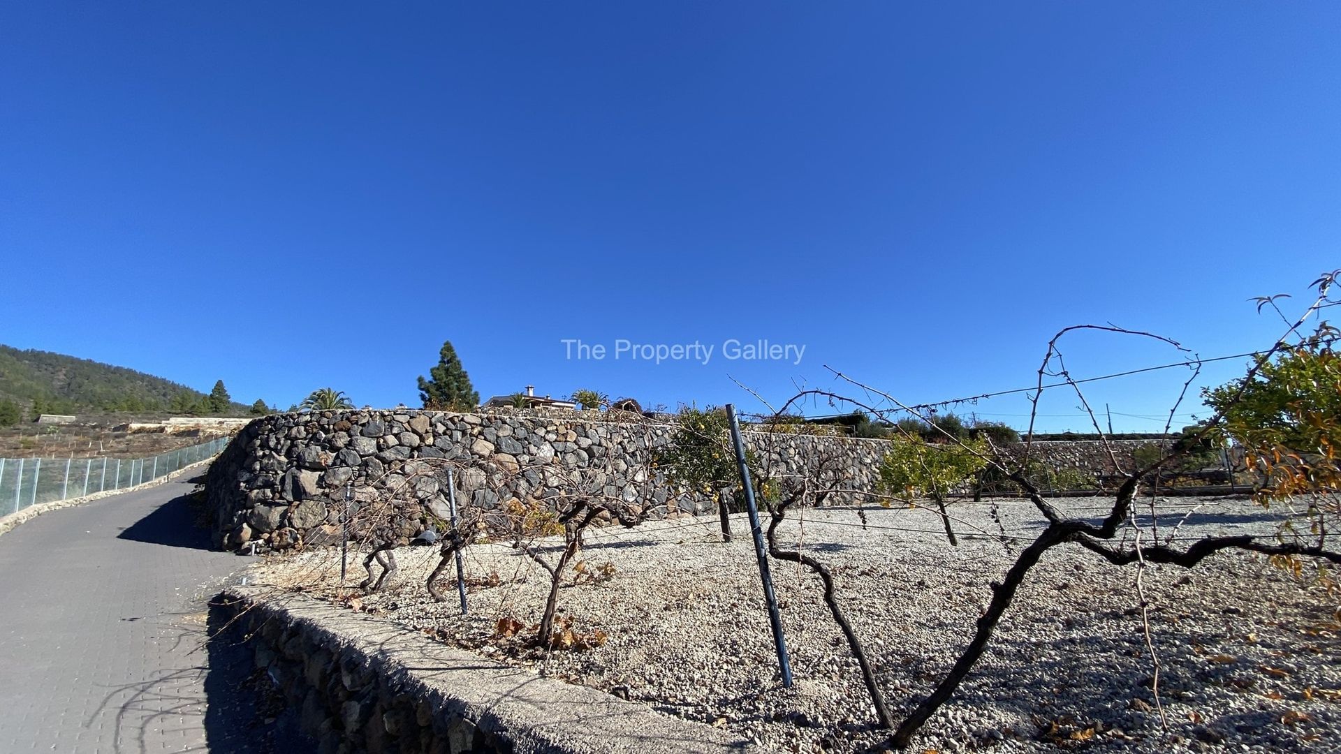 Hus i La Tejita, Canarias 10750619