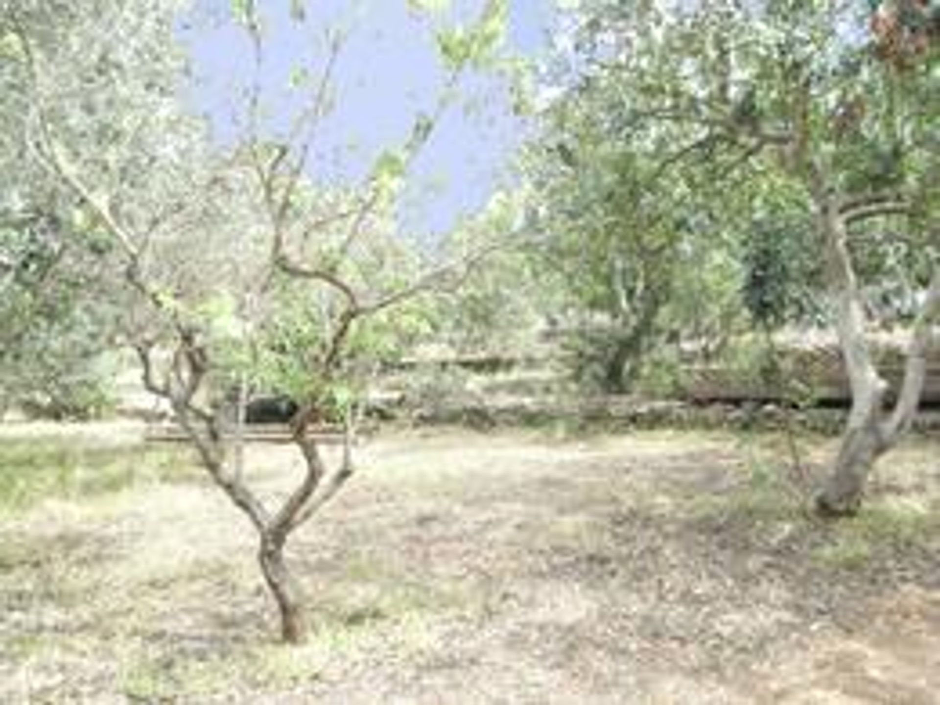 Land in Denia, Valencia 10750620