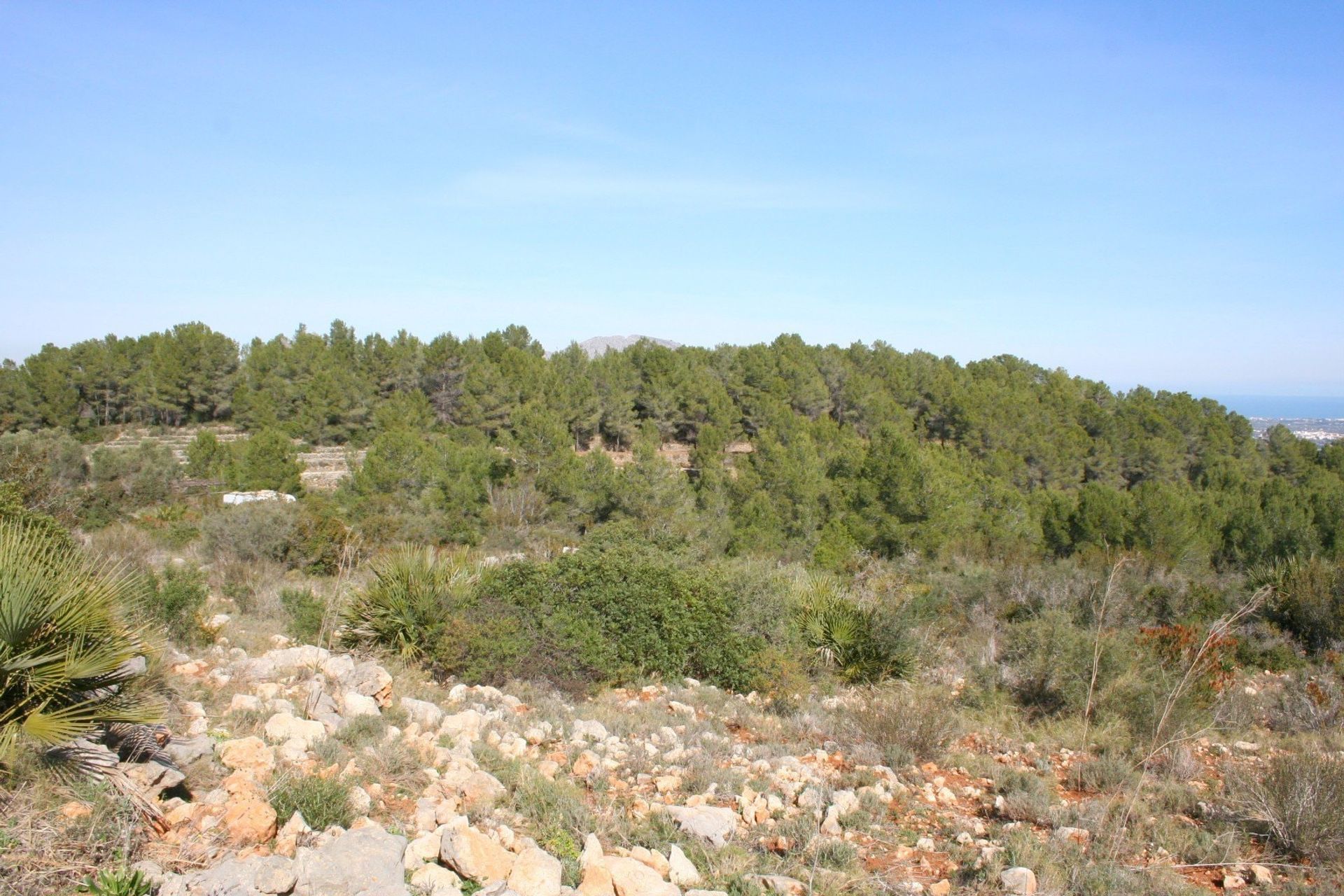 Земля в Benidoleig, Валенсія 10750642