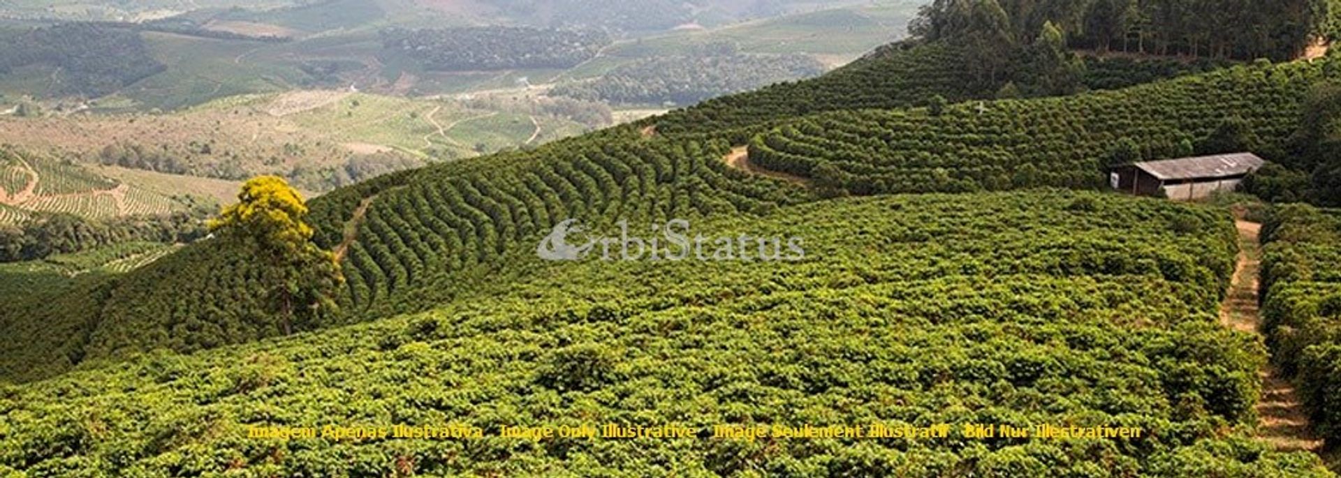 loger dans Aldeia de Cima, Évora 10750860