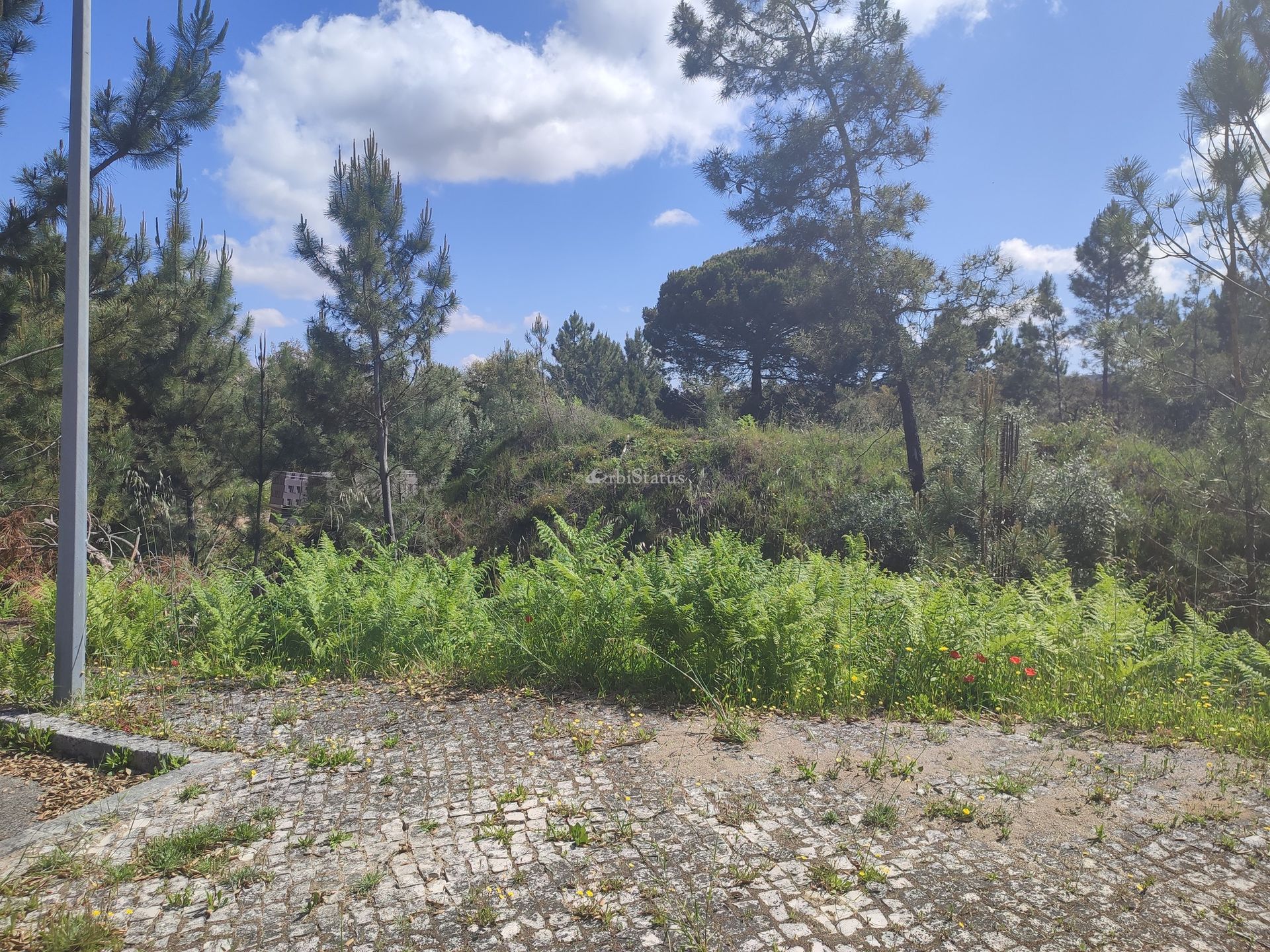 Land im Sesimbra, Setubal 10750868