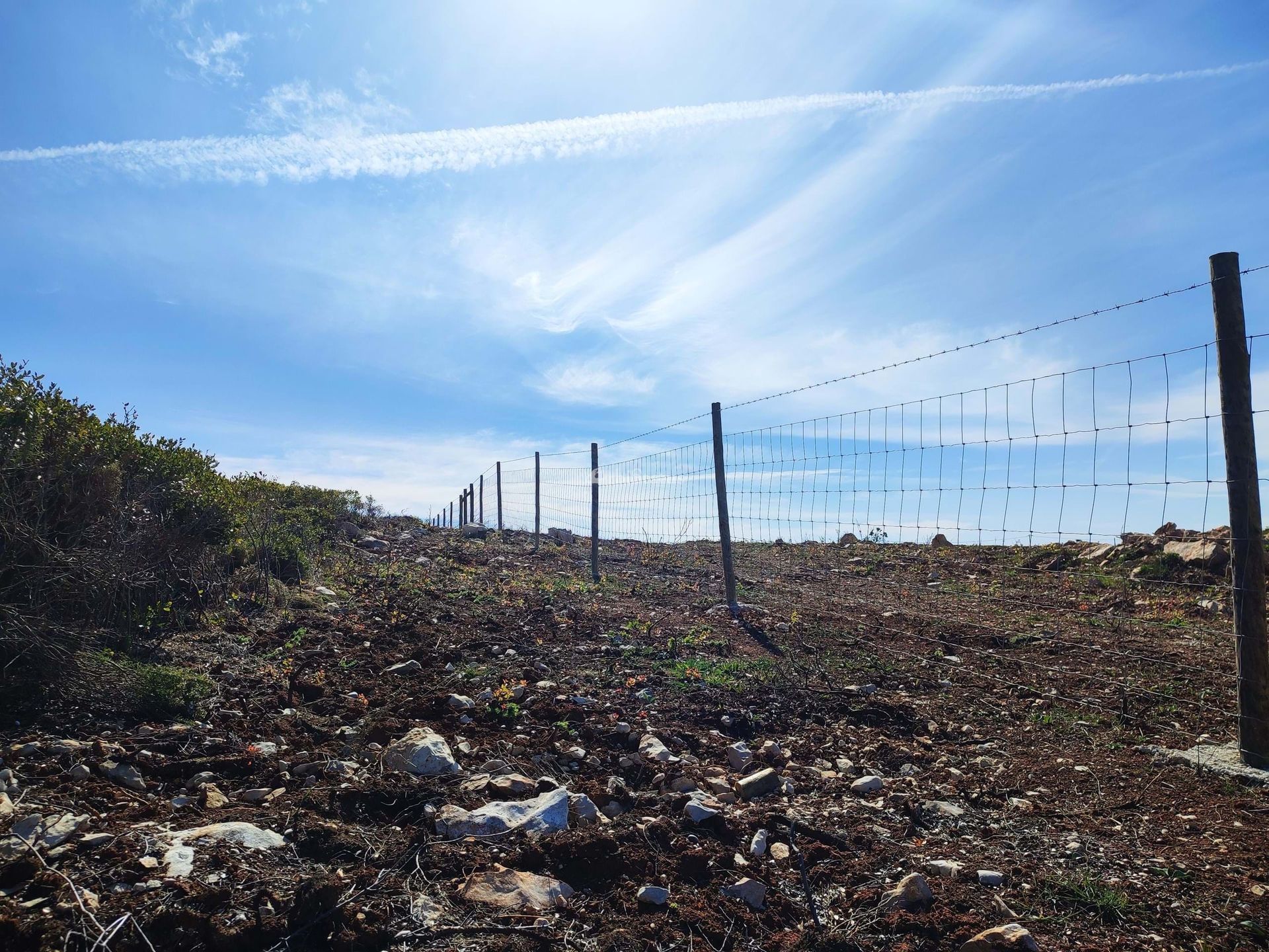 Terre dans Azoïa, Setúbal 10750870