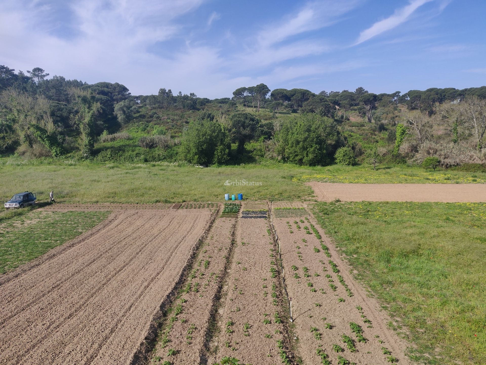 Tierra en torroes, Setúbal 10750914