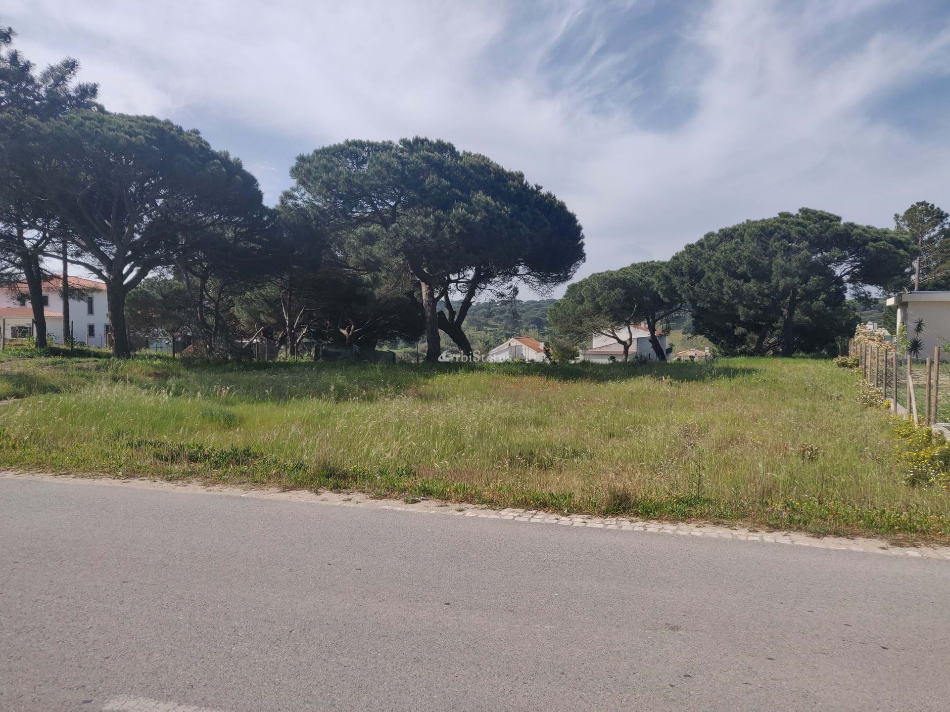 Land i Torrões, Setubal 10750915