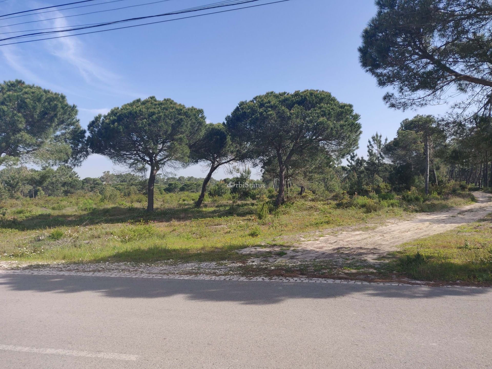 Tanah di Torrões, Setubal 10750915