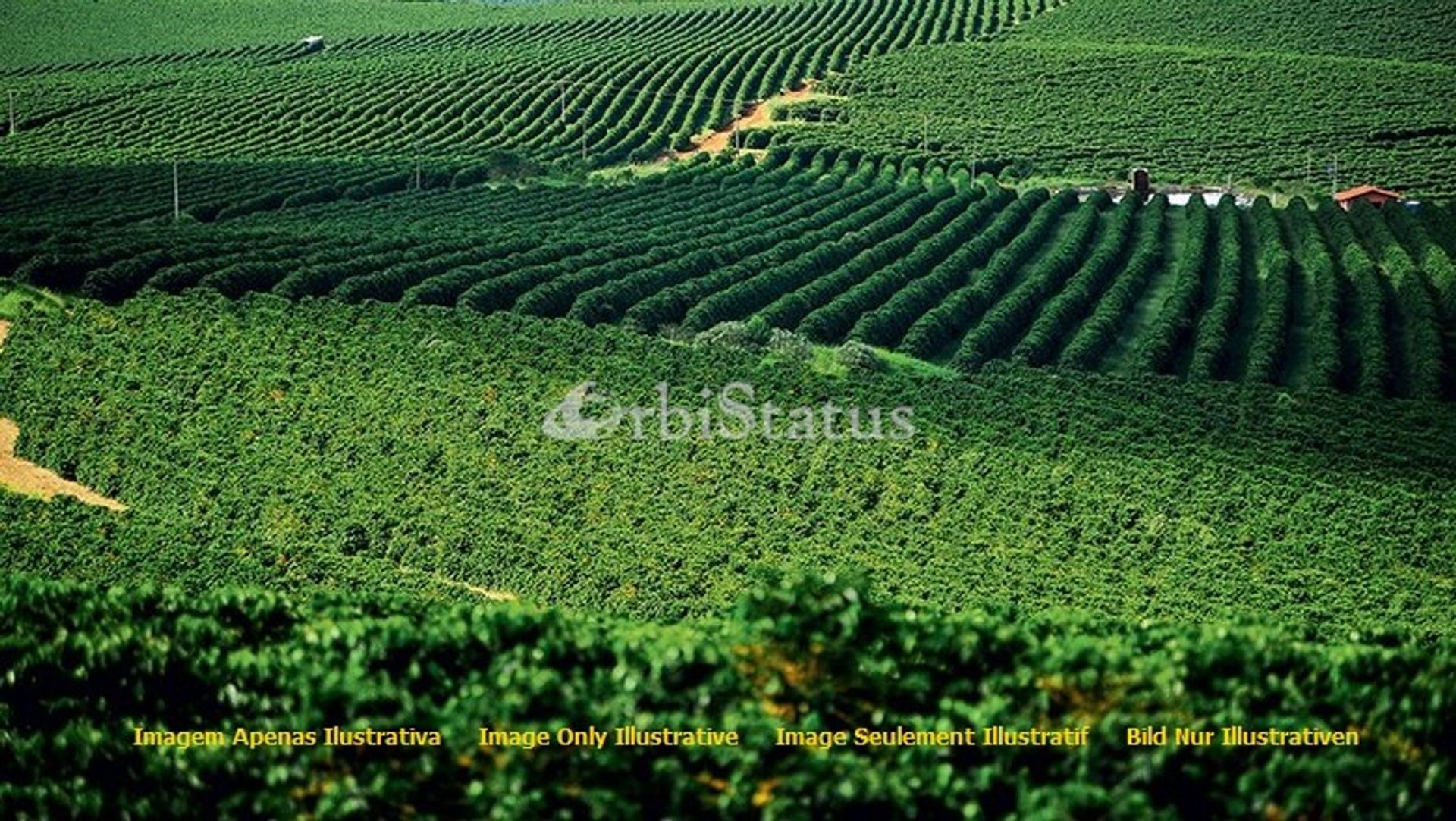 Γη σε Μπεναβέντε, Σανταρέμ 10750919