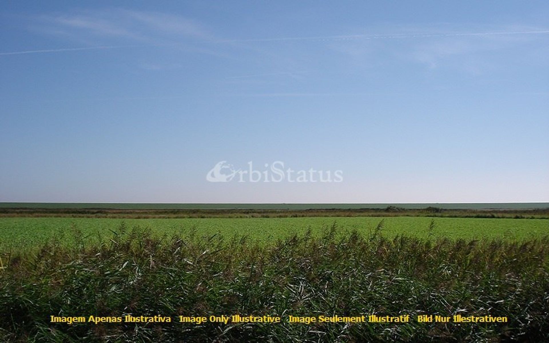 Tierra en Aldea de Cima, Évora 10750922