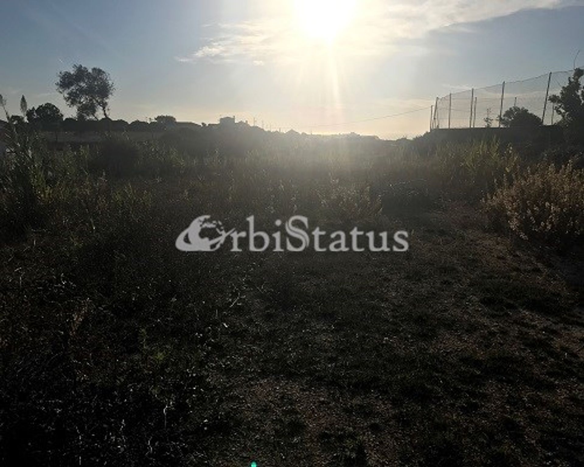 Land im Alfarim, Setubal 10750933