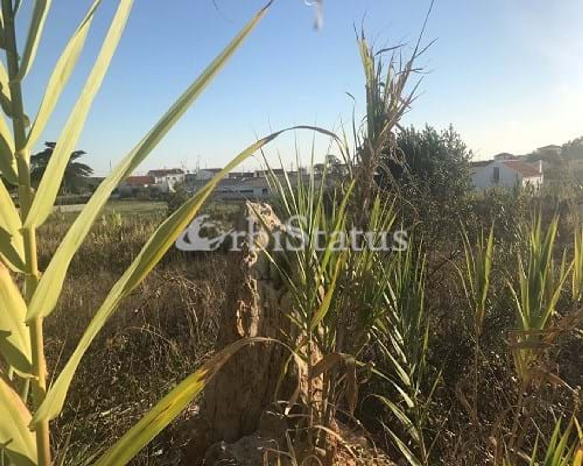 Land in Alfarim, Setubal 10750933