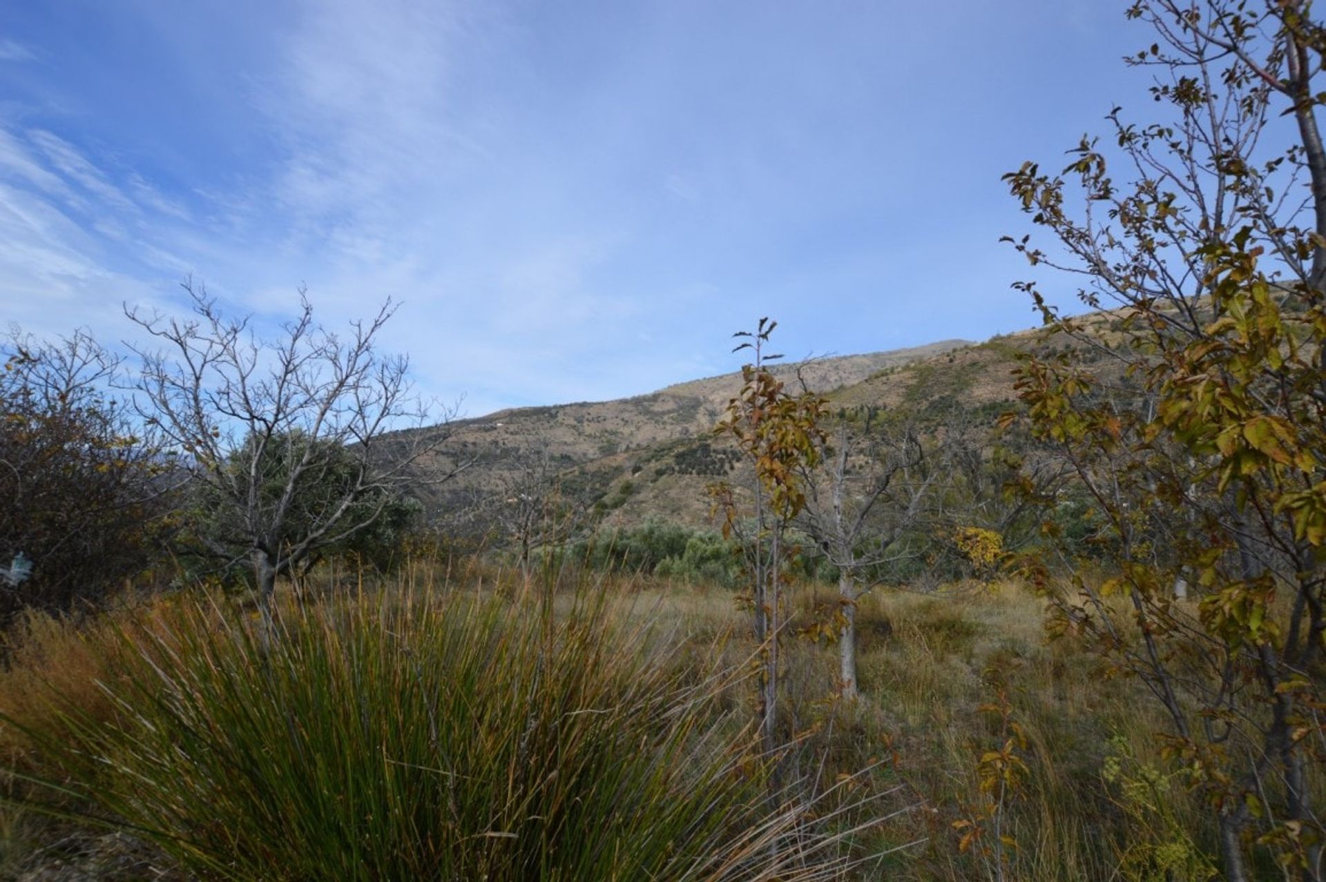 loger dans Lanjarón, Andalousie 10751158