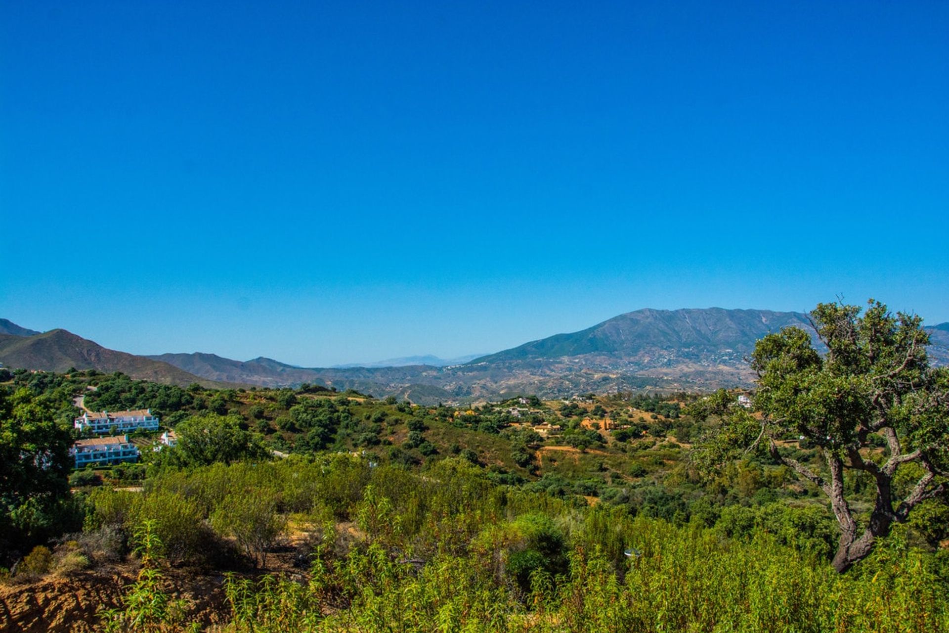 Tanah dalam Ojen, Andalusia 10751172