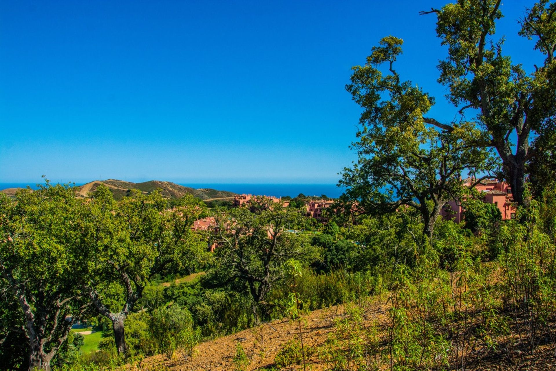 Terre dans , Andalucía 10751172