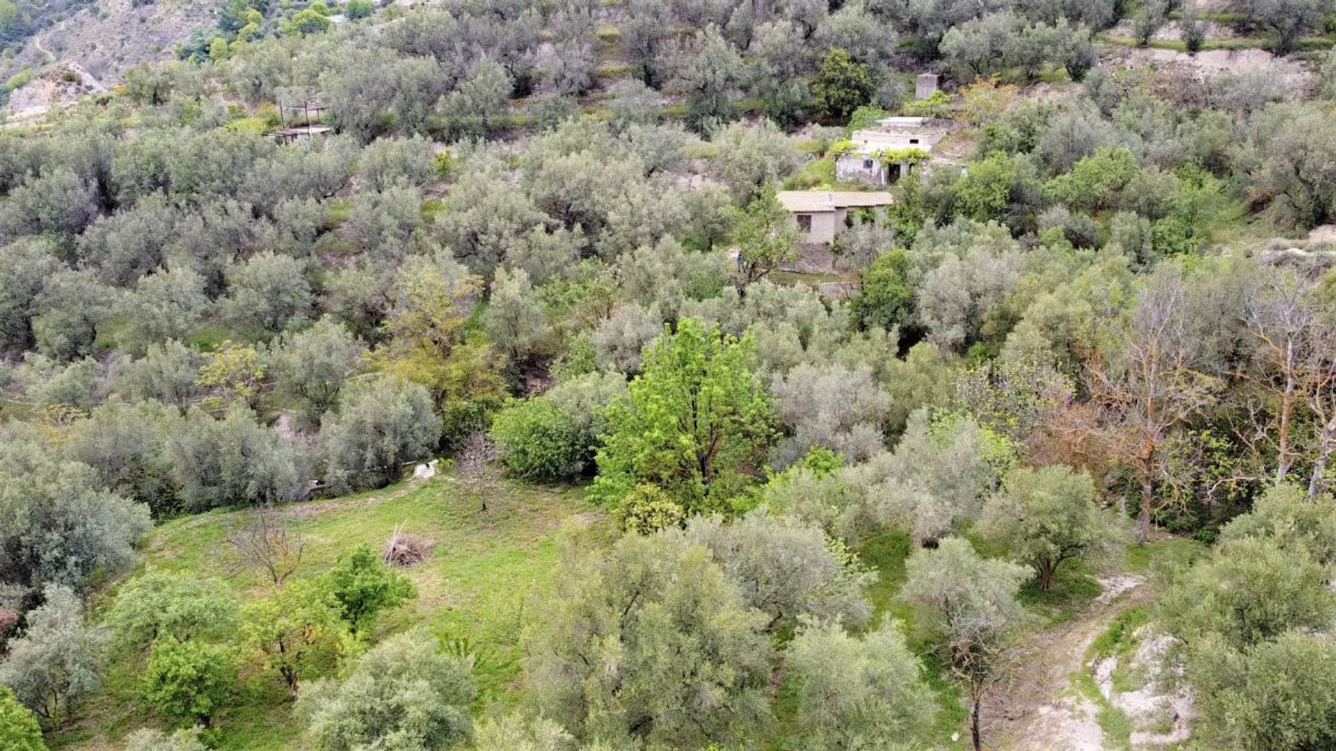 House in Lanjaron, Andalusia 10751189