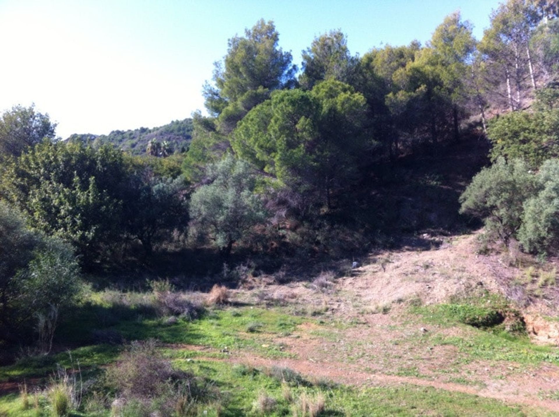 Terra no Mijas, Andalucía 10751191