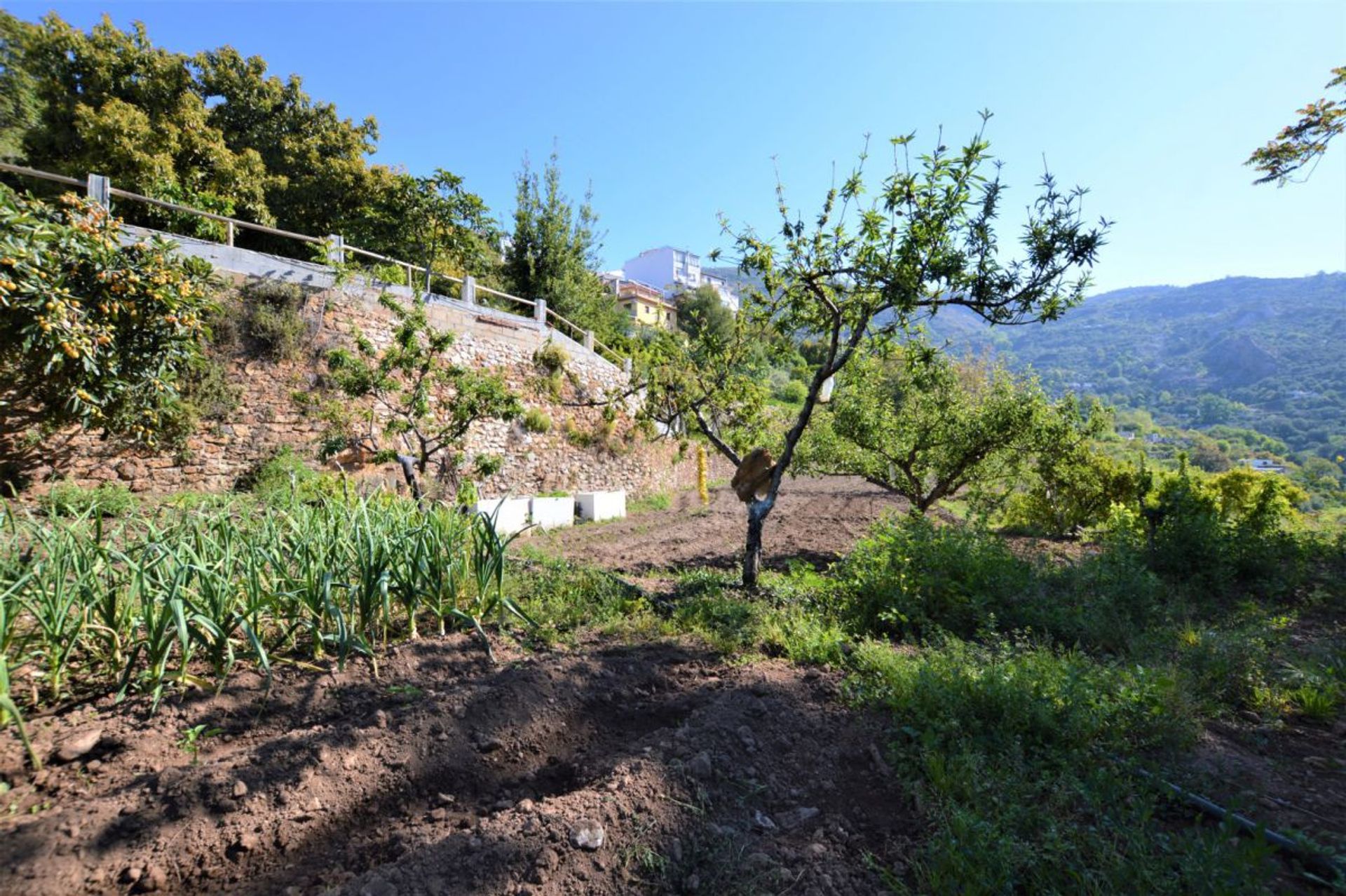 σπίτι σε Lanjaron, Ανδαλουσία 10751200