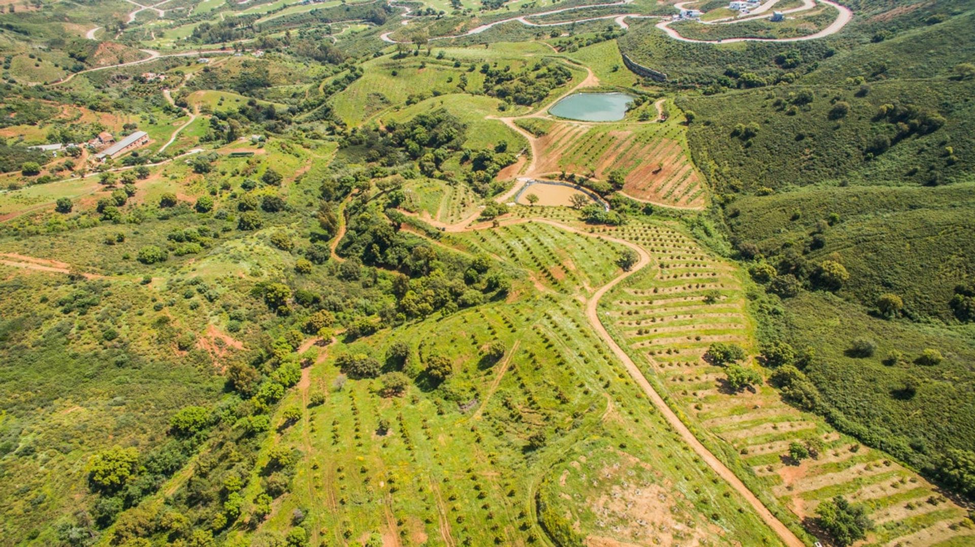 Land im Mijas, Andalucía 10751212