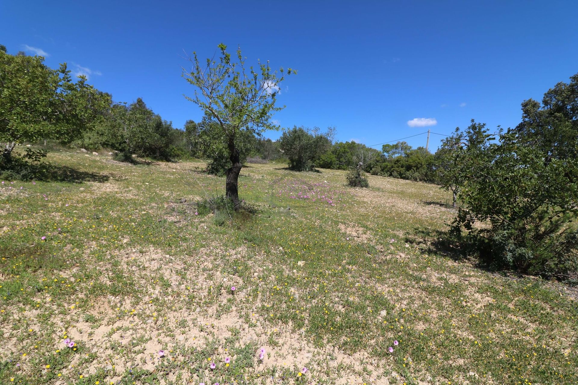 Land in Guelhim, Faro 10751279