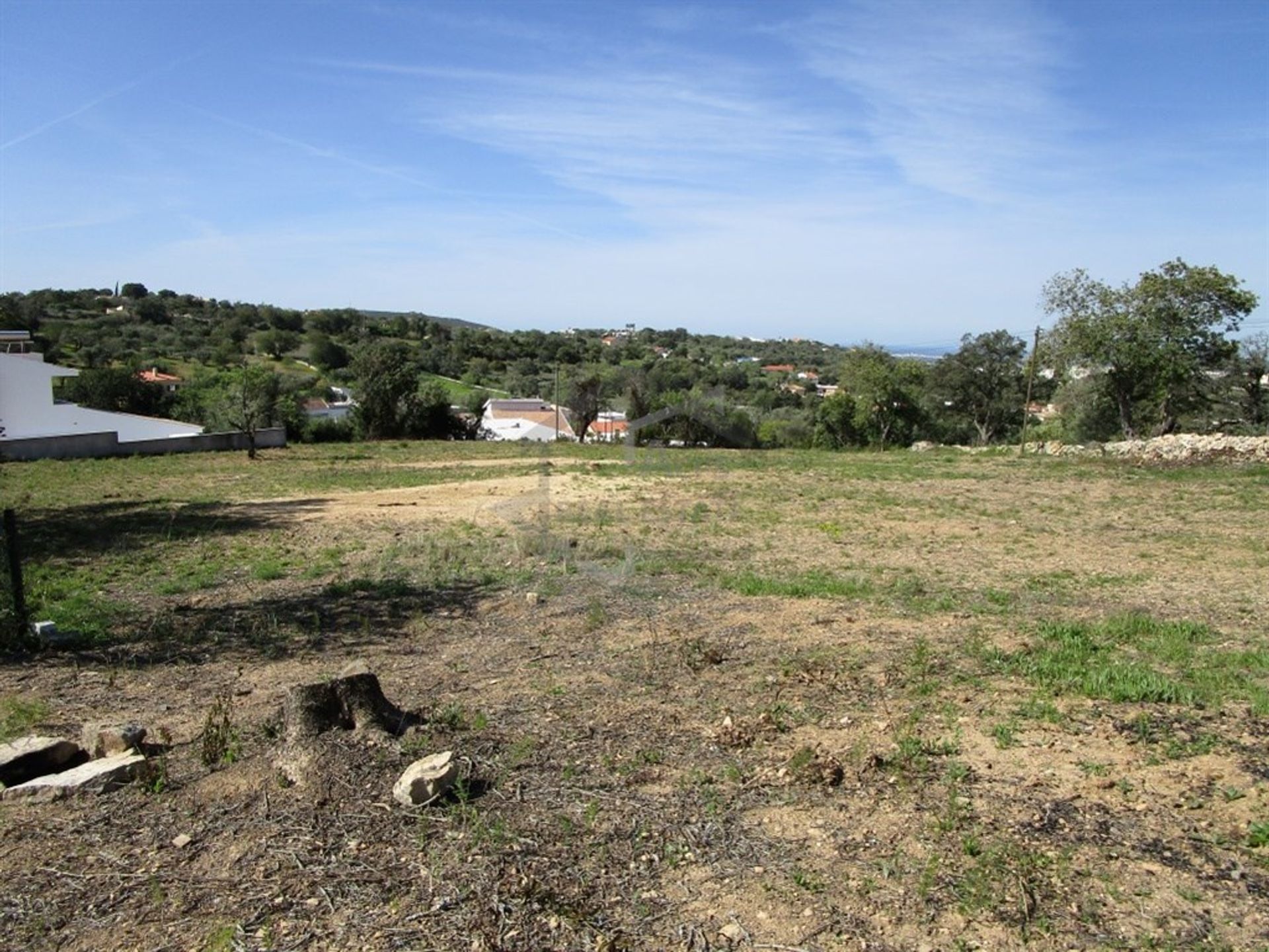 Tierra en Goldra, Faraón 10751296