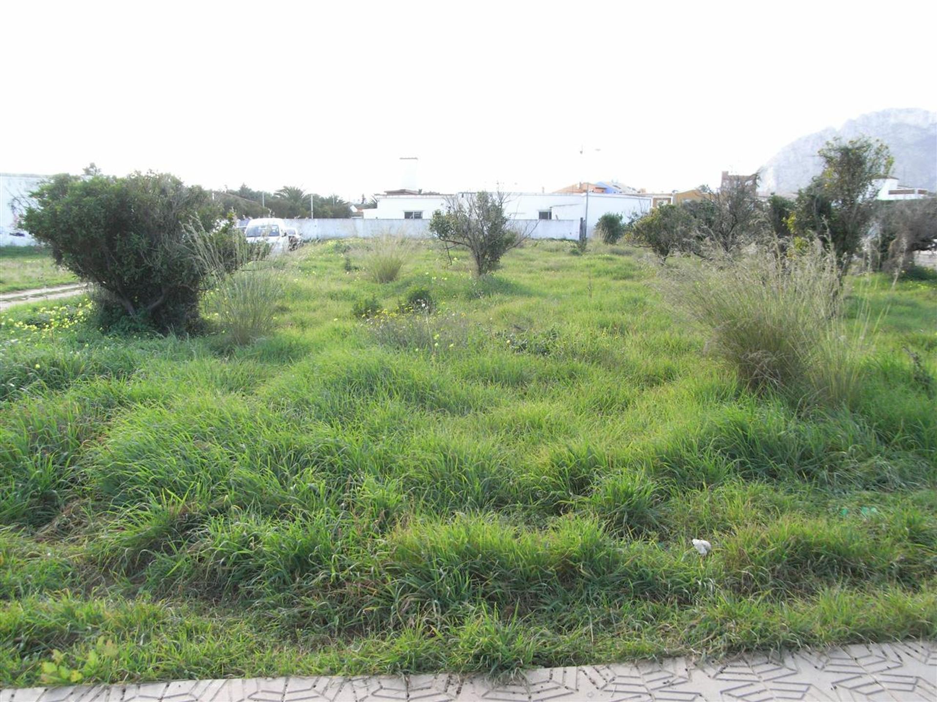 Land in Vergel, Comunidad Valenciana 10751466