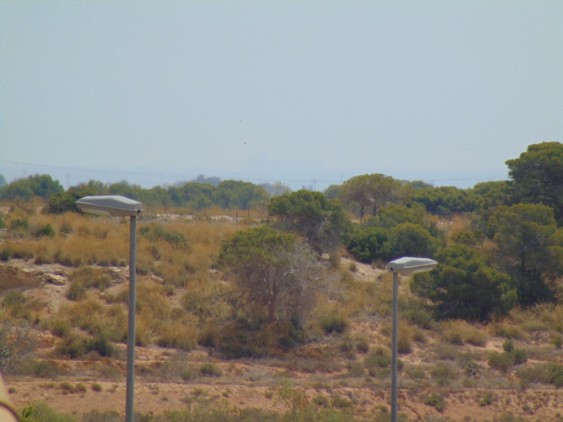 집 에 Torre-Pacheco, Región de Murcia 10751682