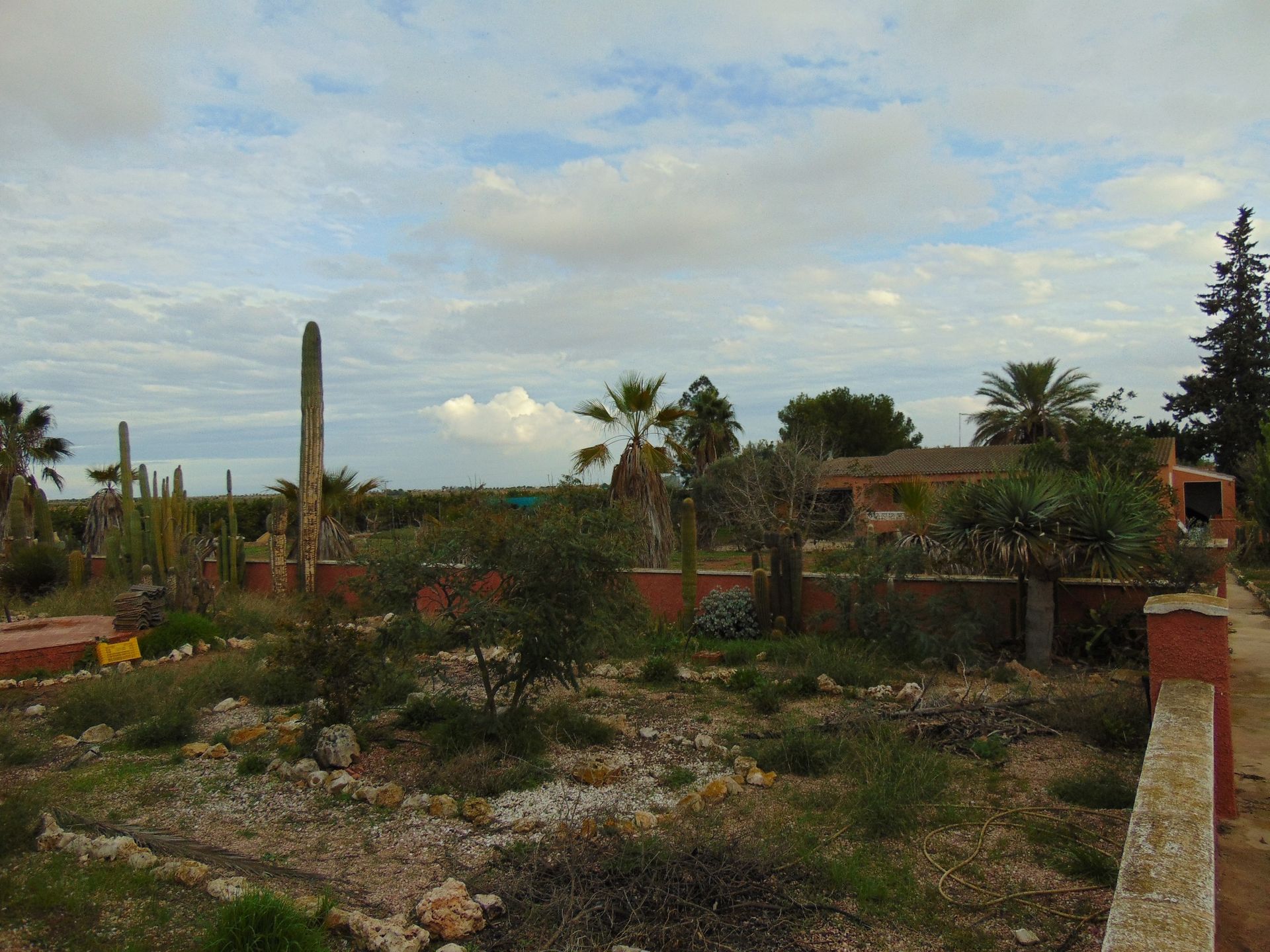 房子 在 Torre-Pacheco, Región de Murcia 10751720