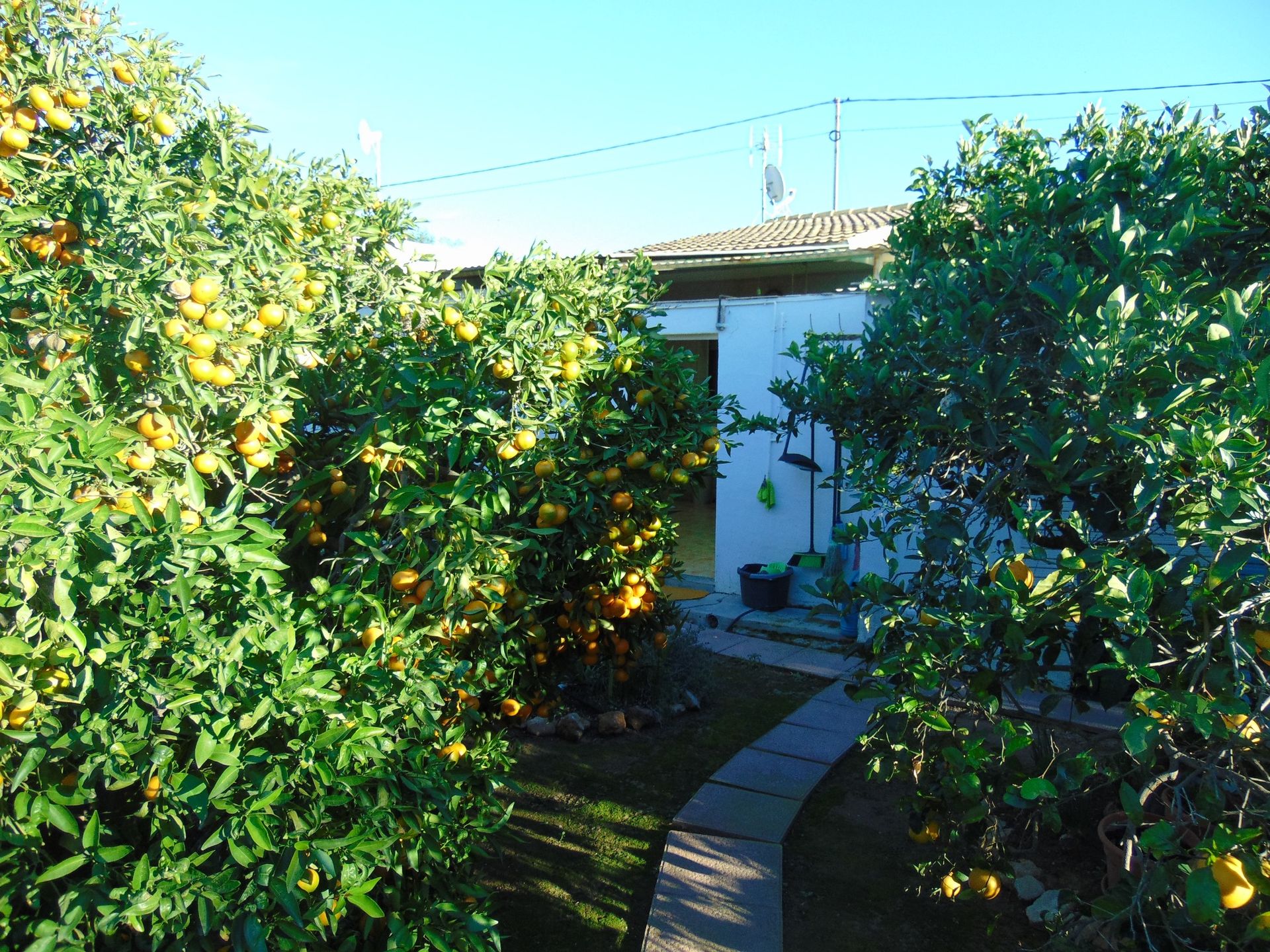 casa no Torre del Ramé, Múrcia 10751721